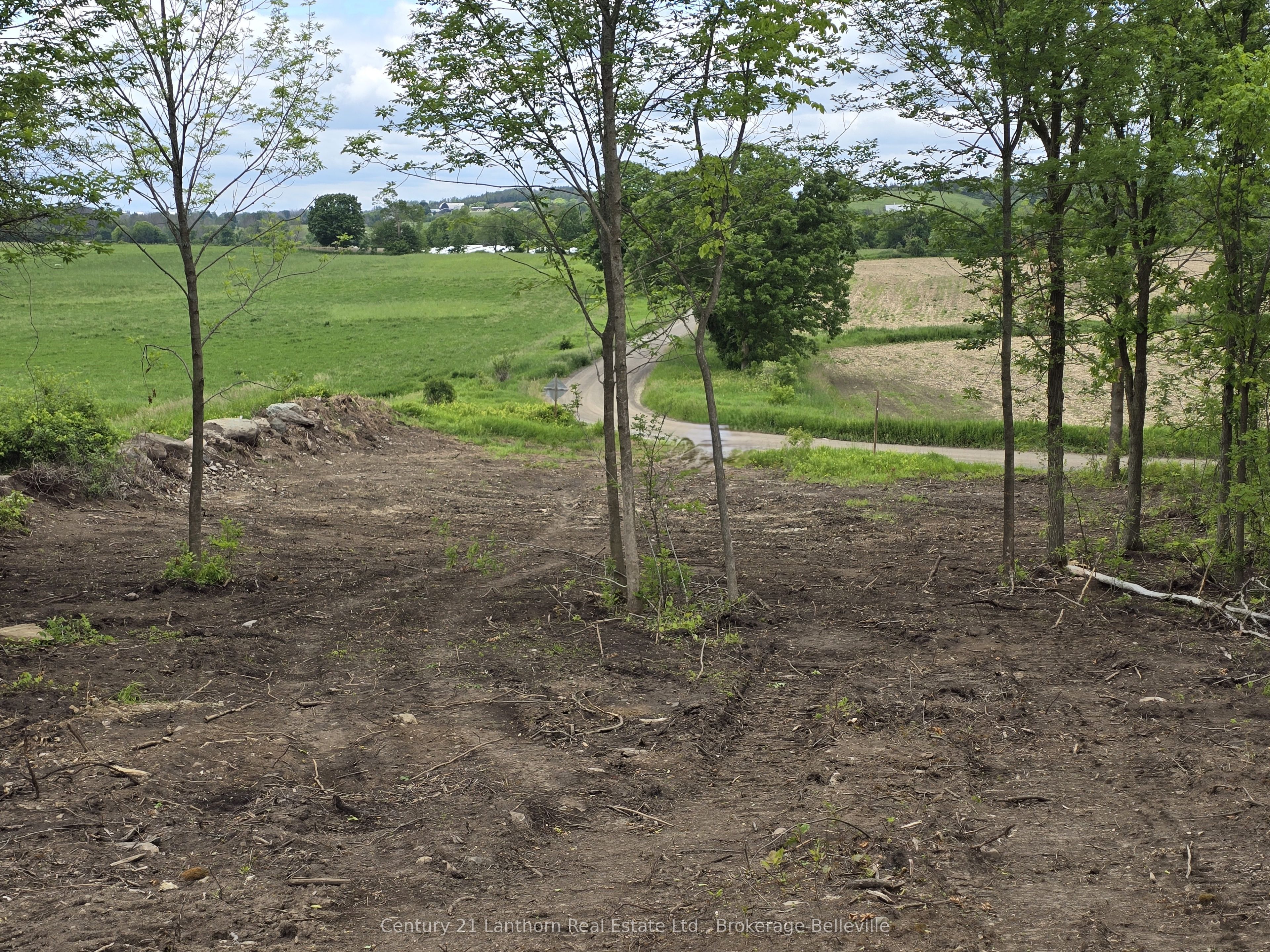 0 Devils Valley Road Property Photo 17