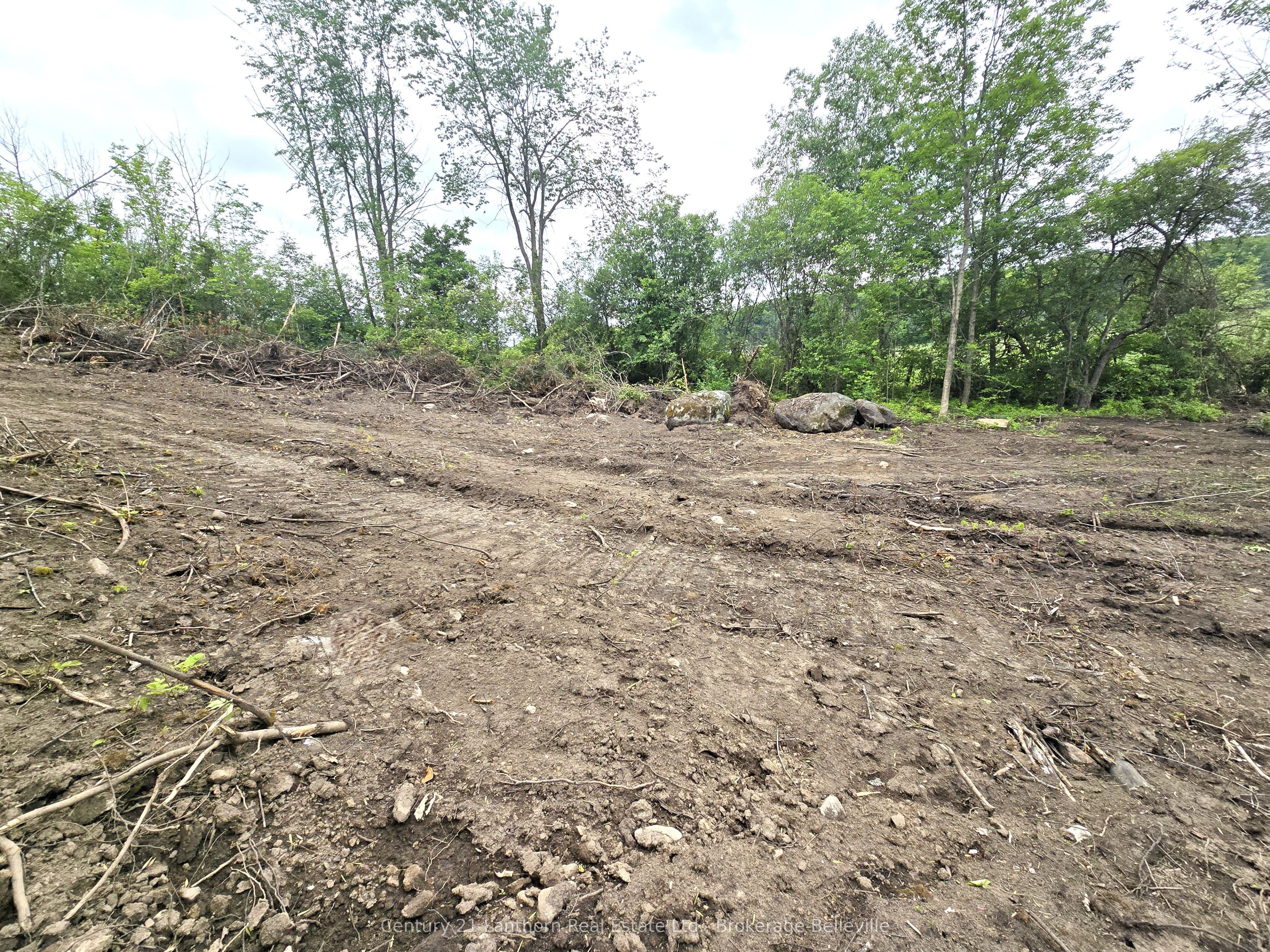 0 Devils Valley Road Property Photo 22