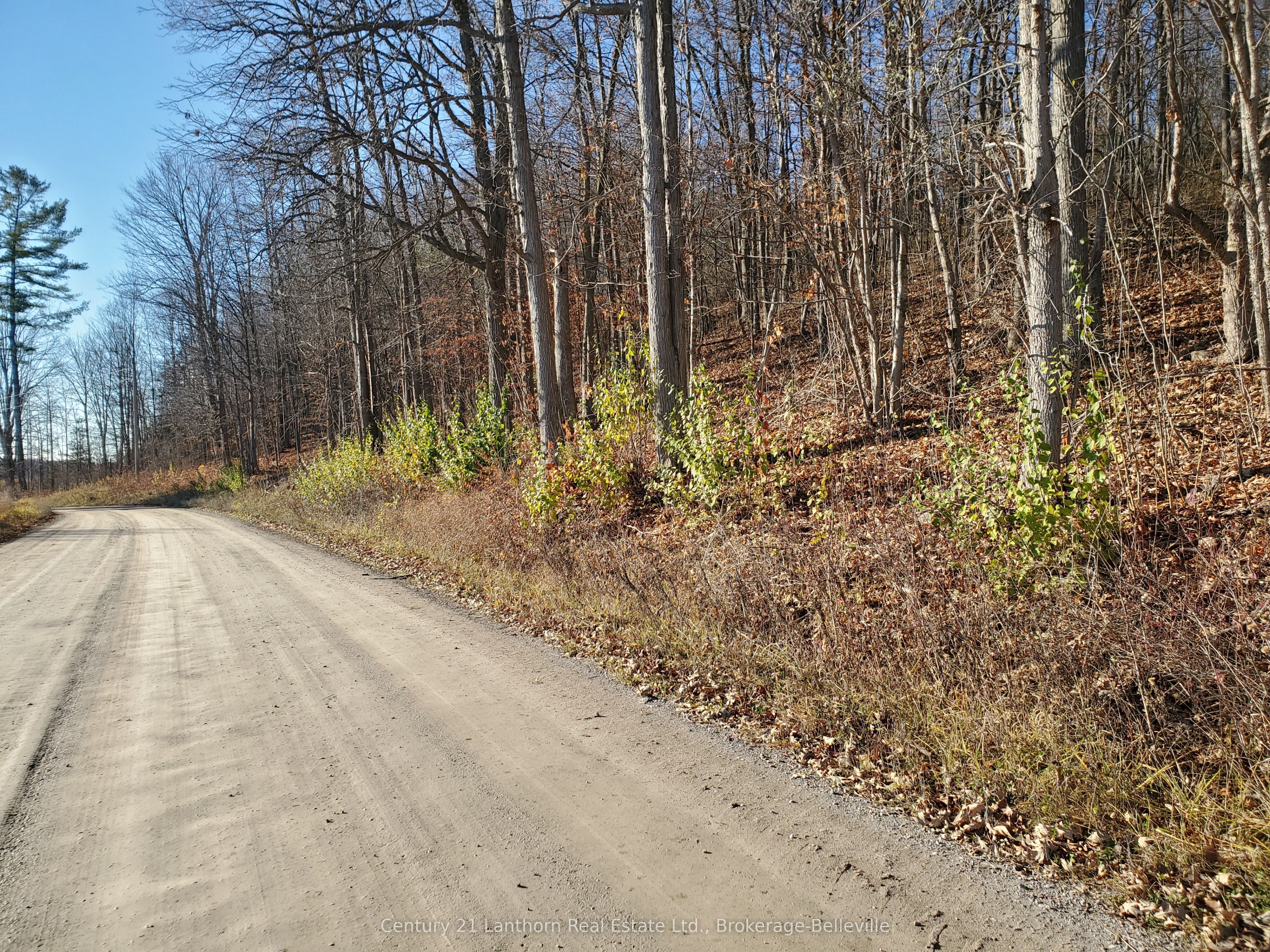0 Devils Valley Road Property Photo 28