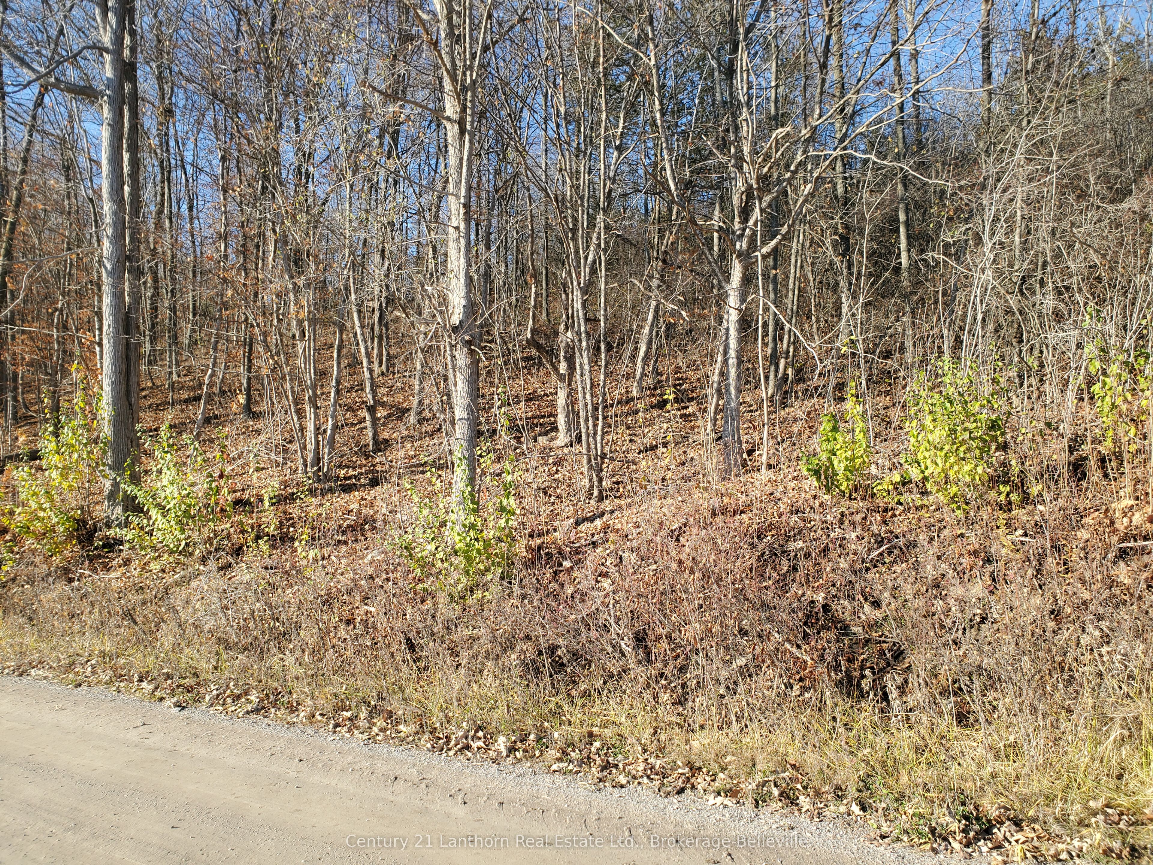 0 Devils Valley Road Property Photo 29