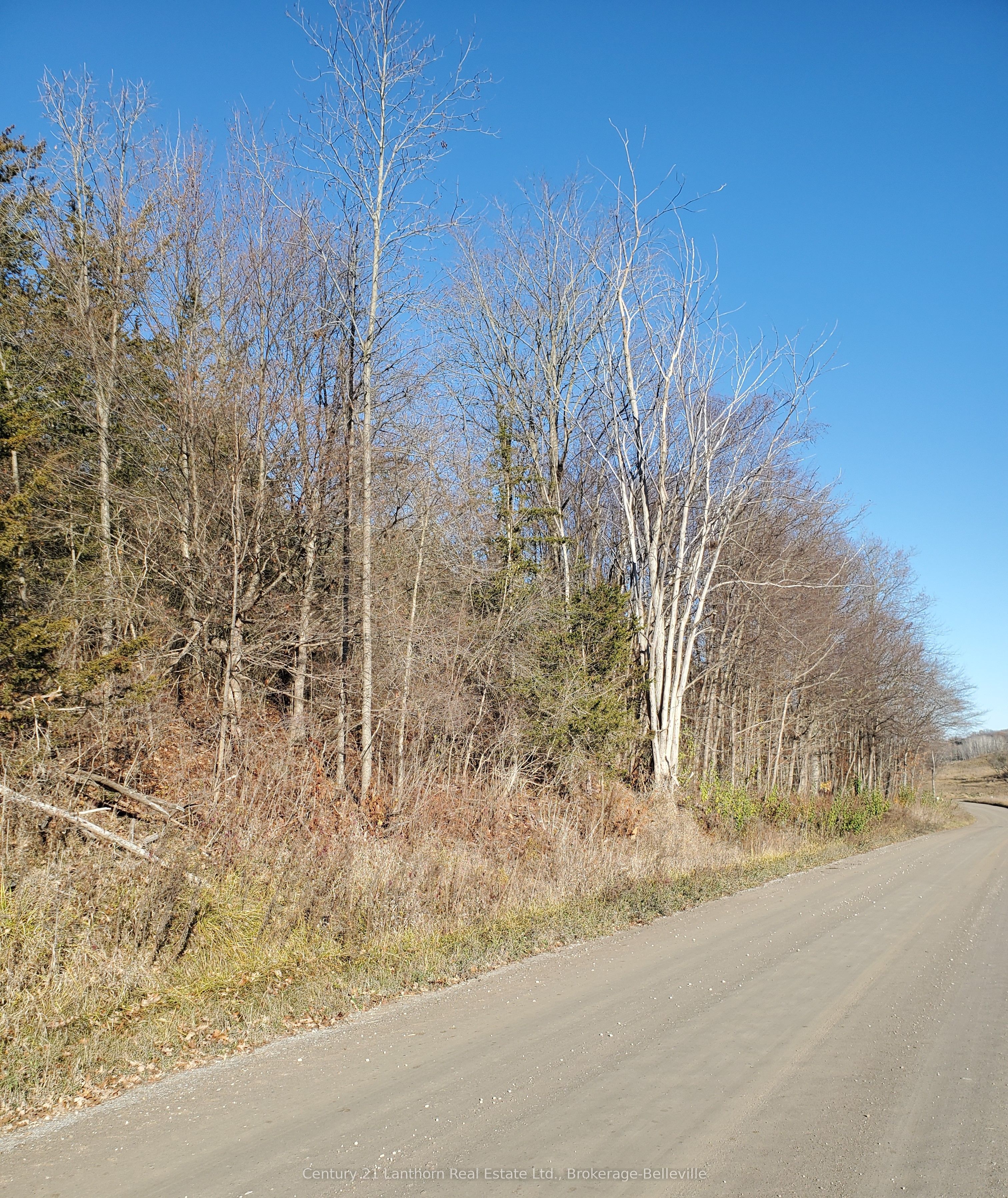 0 Devils Valley Road Property Photo 31