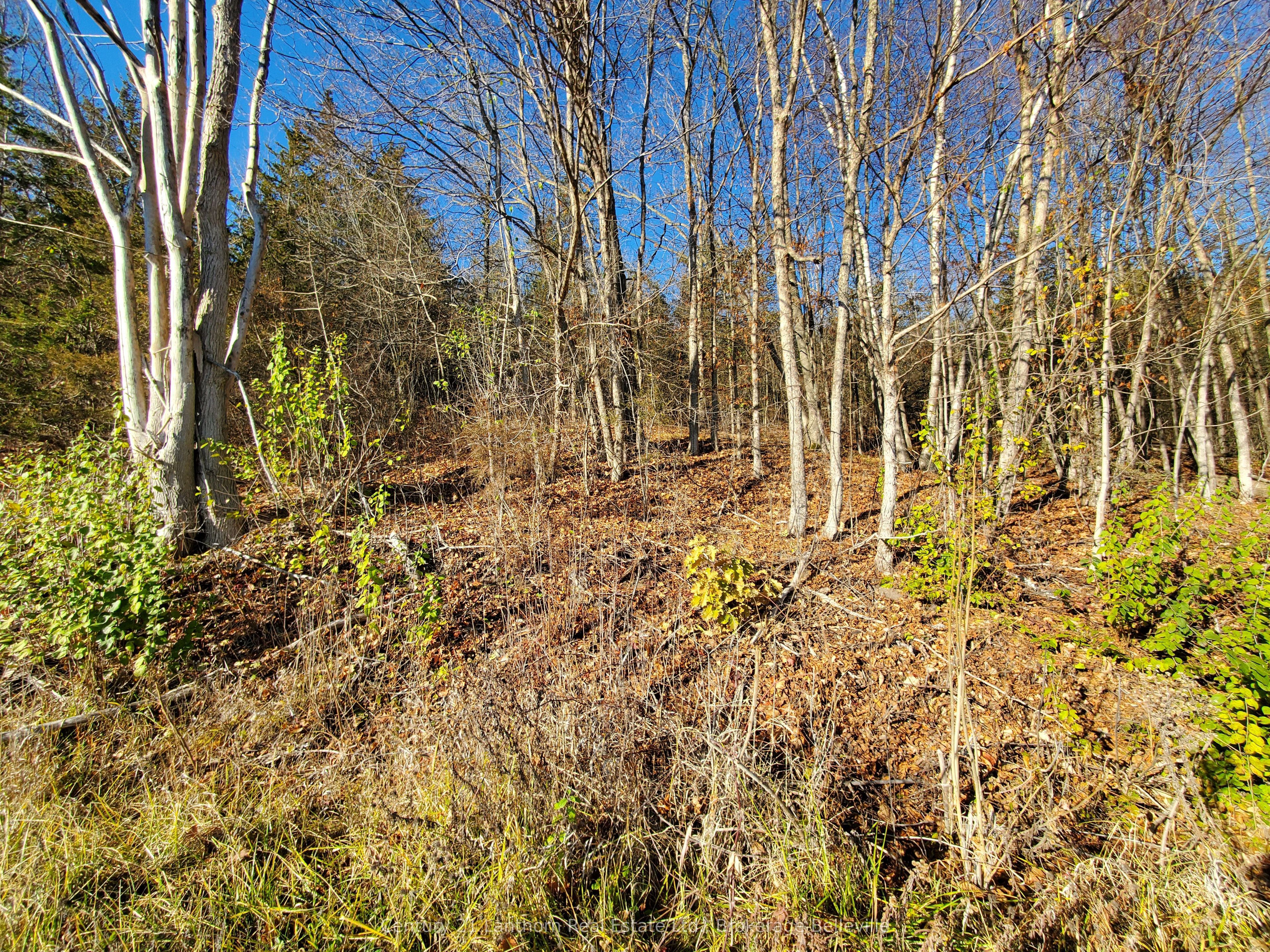 0 Devils Valley Road Property Photo 33
