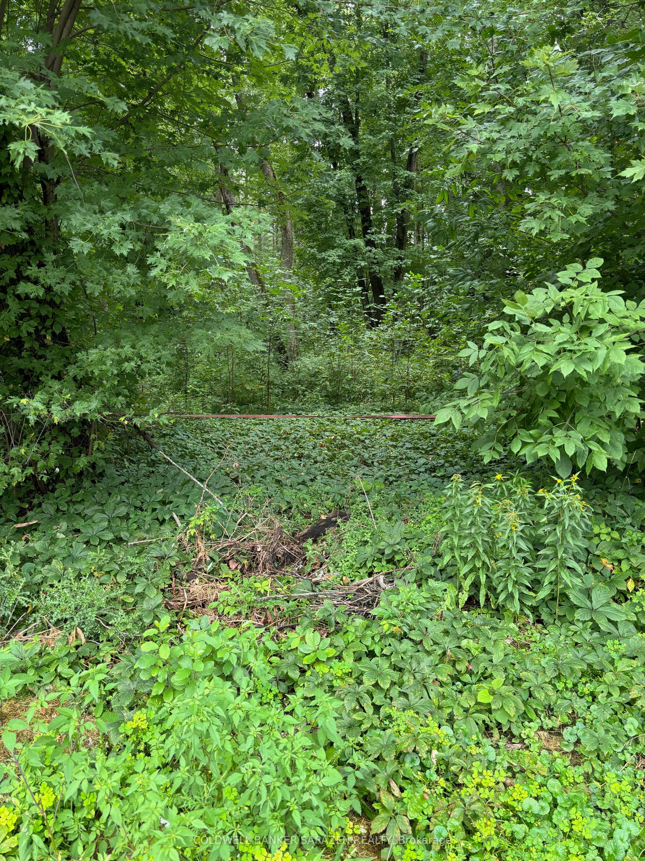 101 Allbirch Road Property Photo 1