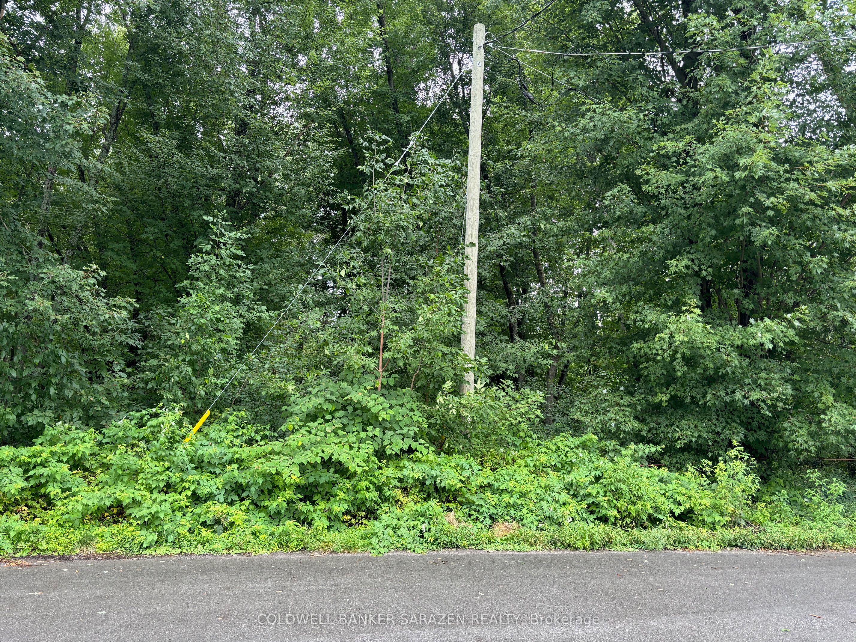 101 Allbirch Road Property Photo 2
