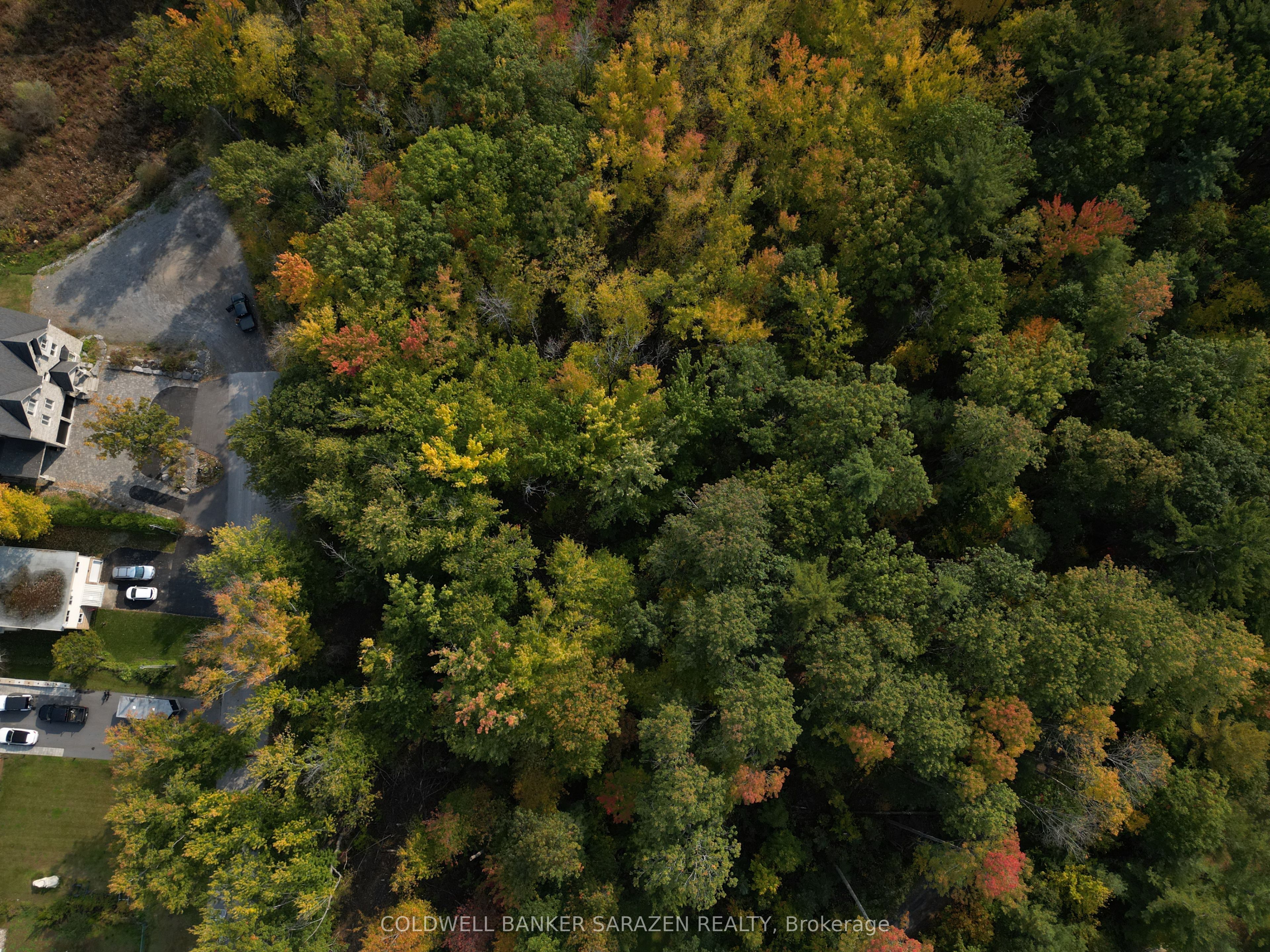 101 Allbirch Road Property Photo 6