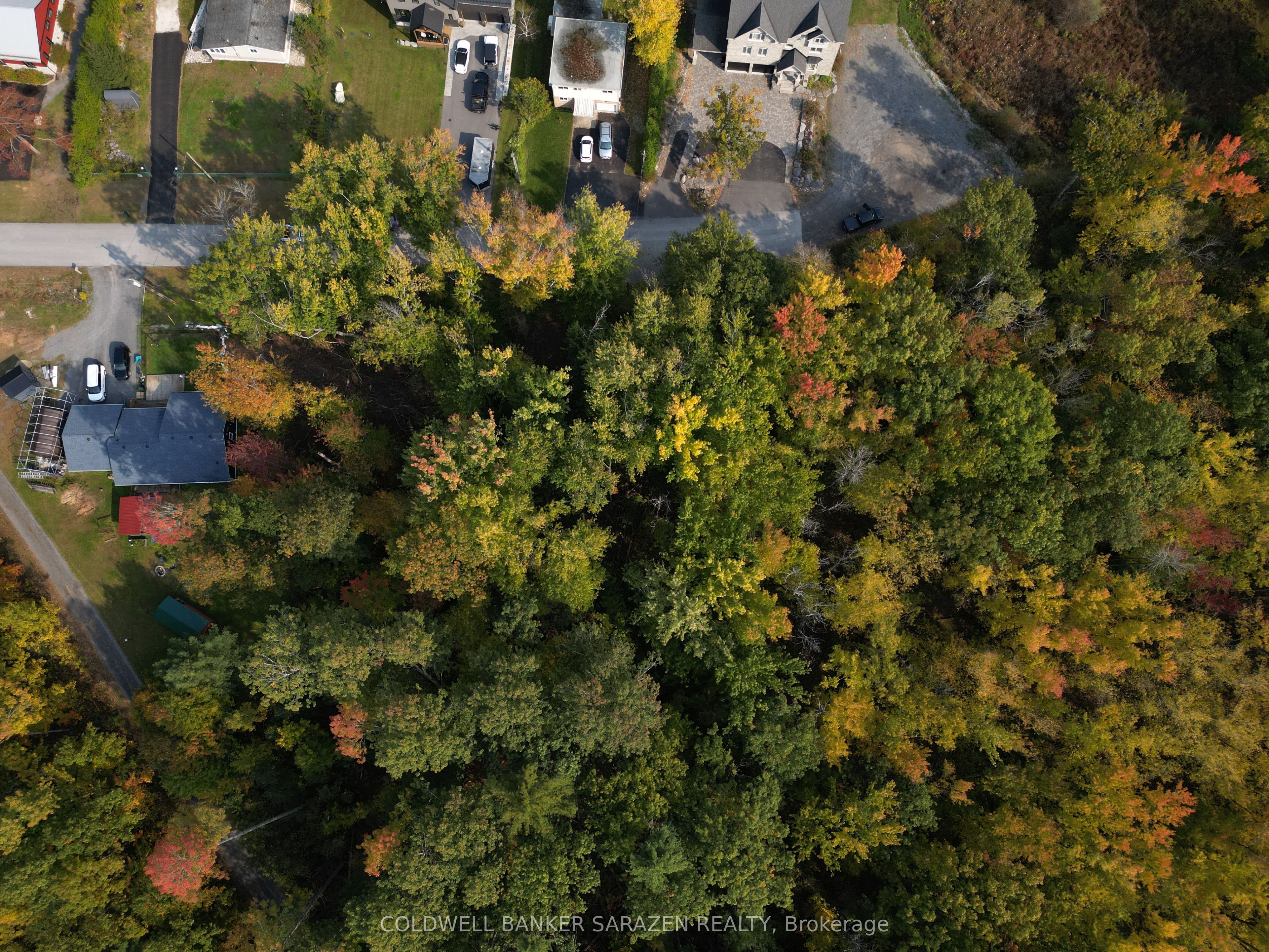 101 Allbirch Road Property Photo 7