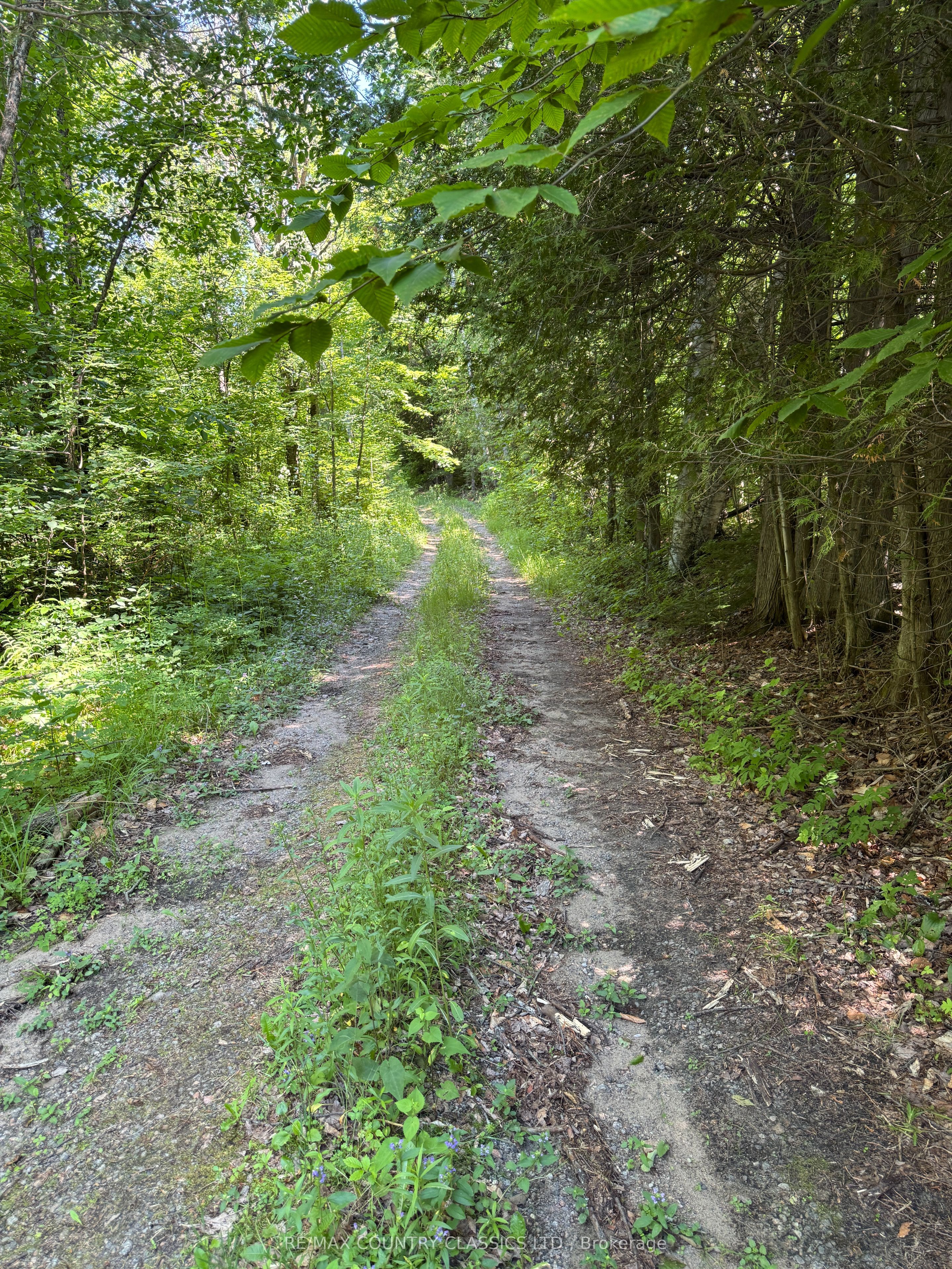 790 Mcdonald Mine Road Property Photo 5