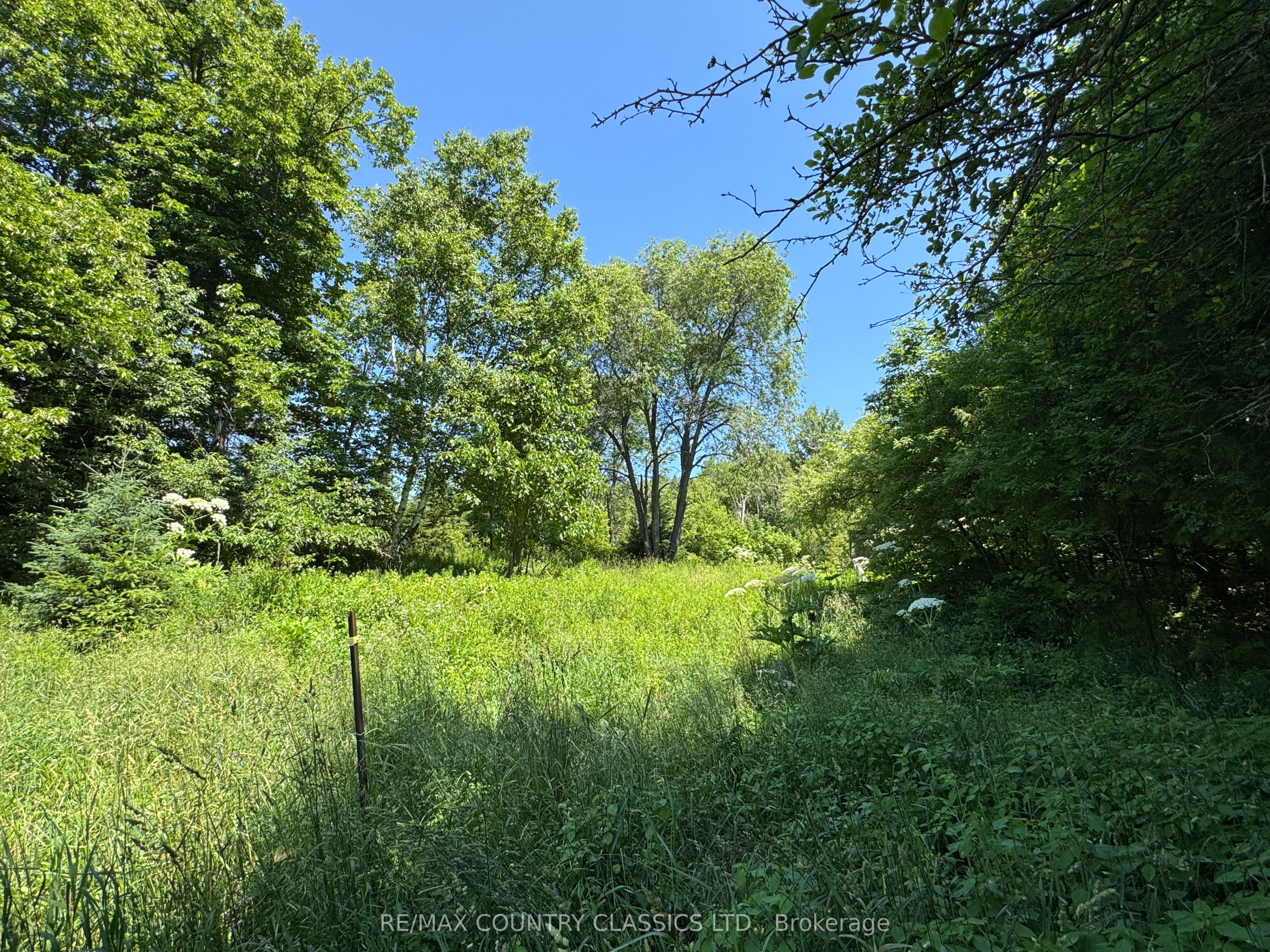 790 Mcdonald Mine Road Property Photo 8