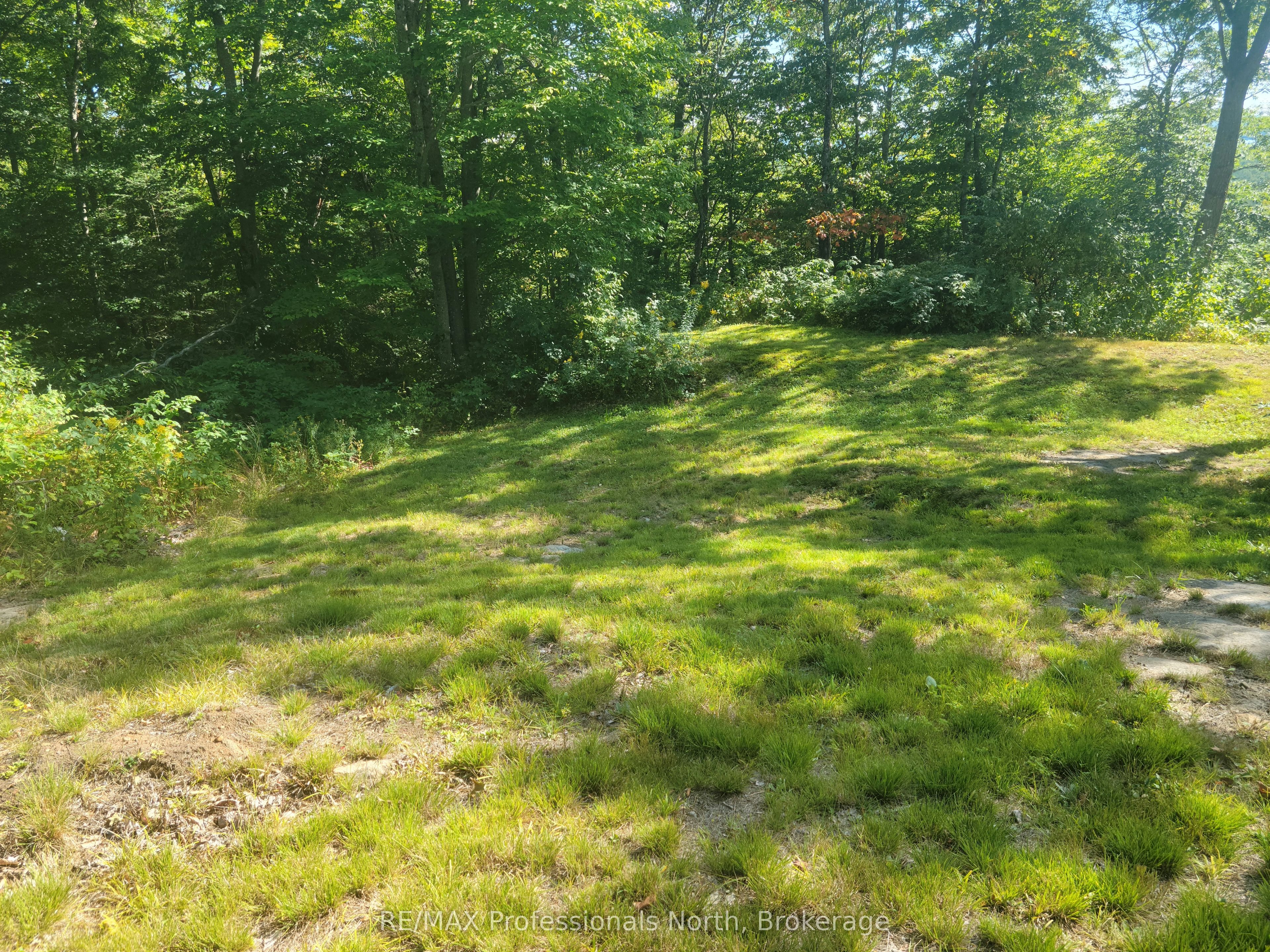 364 Forestry Tower Road Property Photo 24