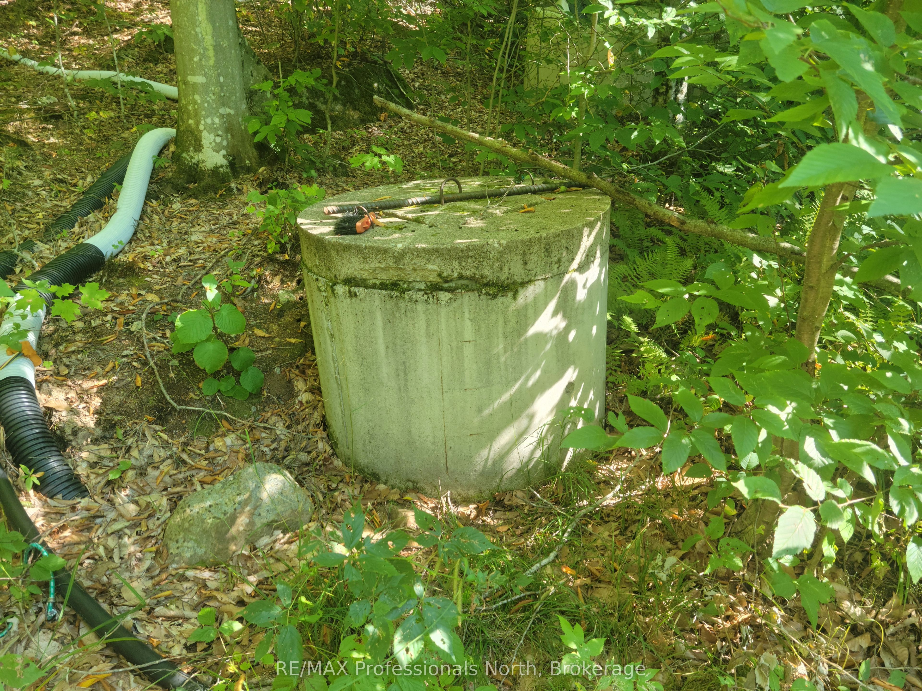 364 Forestry Tower Road Property Photo 28
