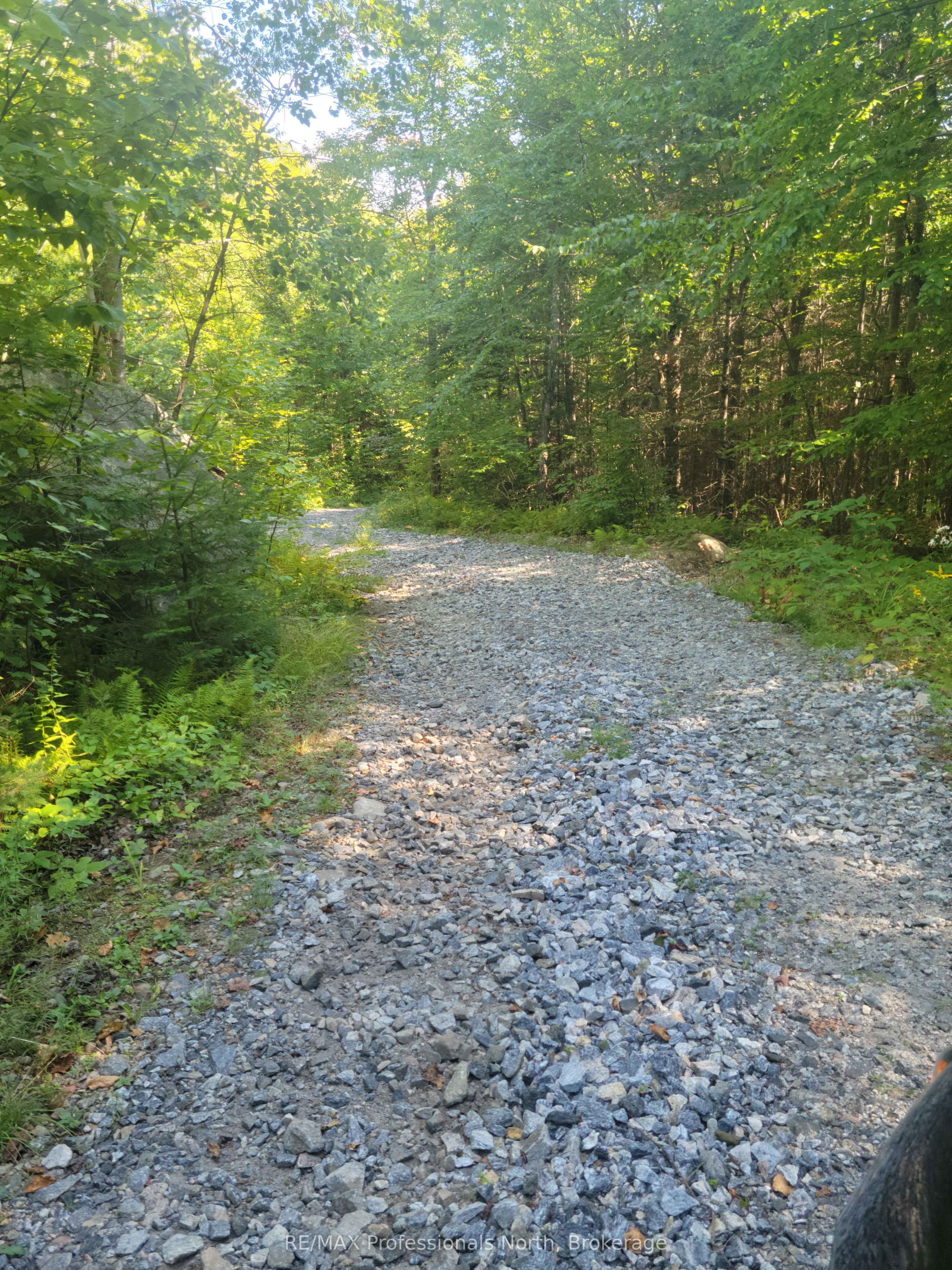 364 Forestry Tower Road Property Photo 33