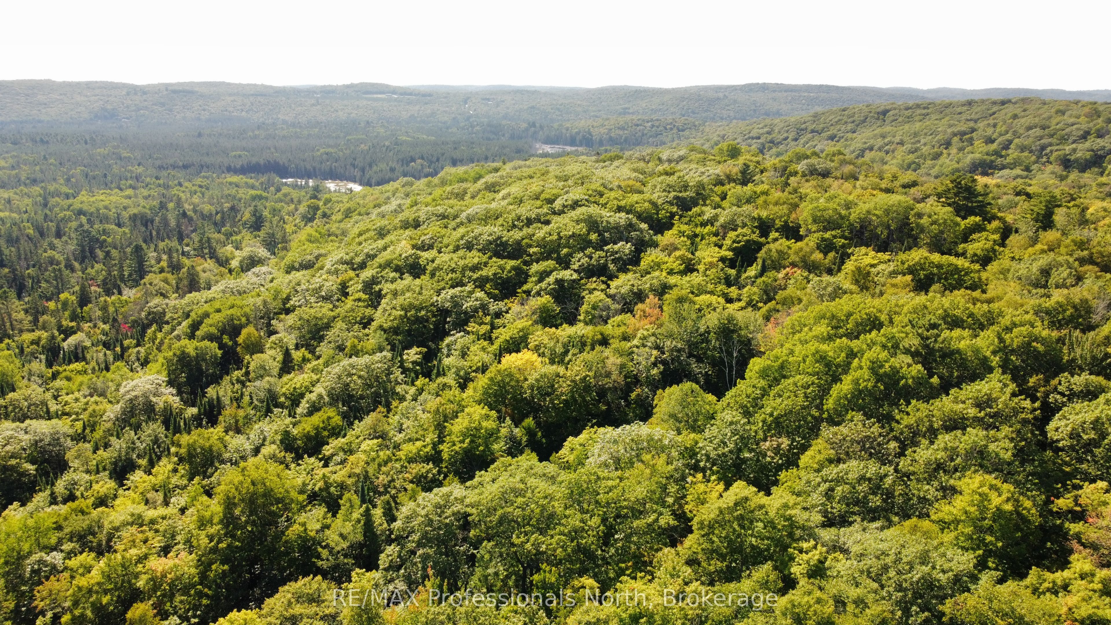 364 Forestry Tower Road Property Photo 46