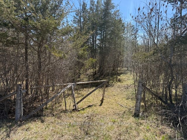 590 Love Road Property Photo 1