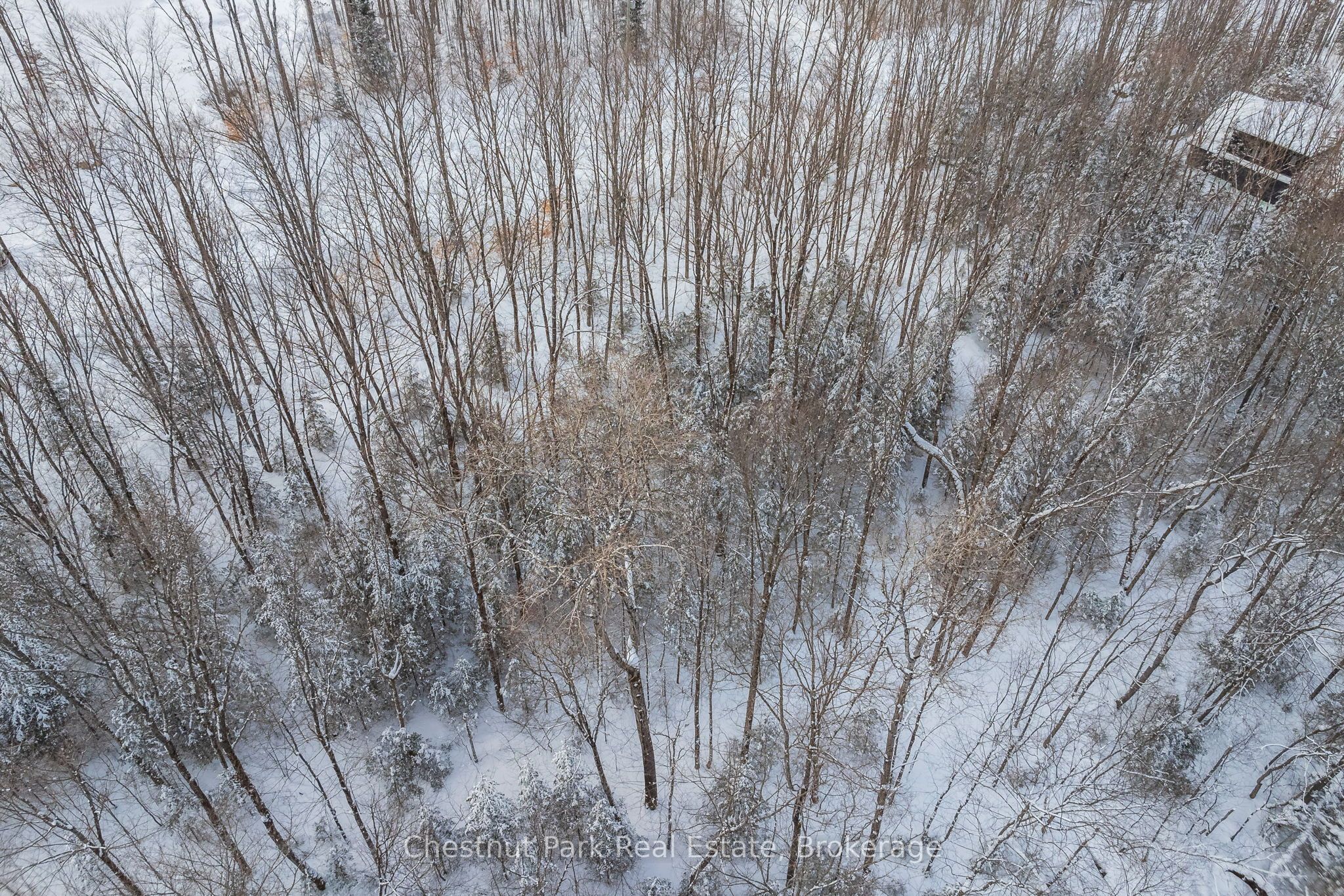 Lot 11 Millie's Way Property Photo 23