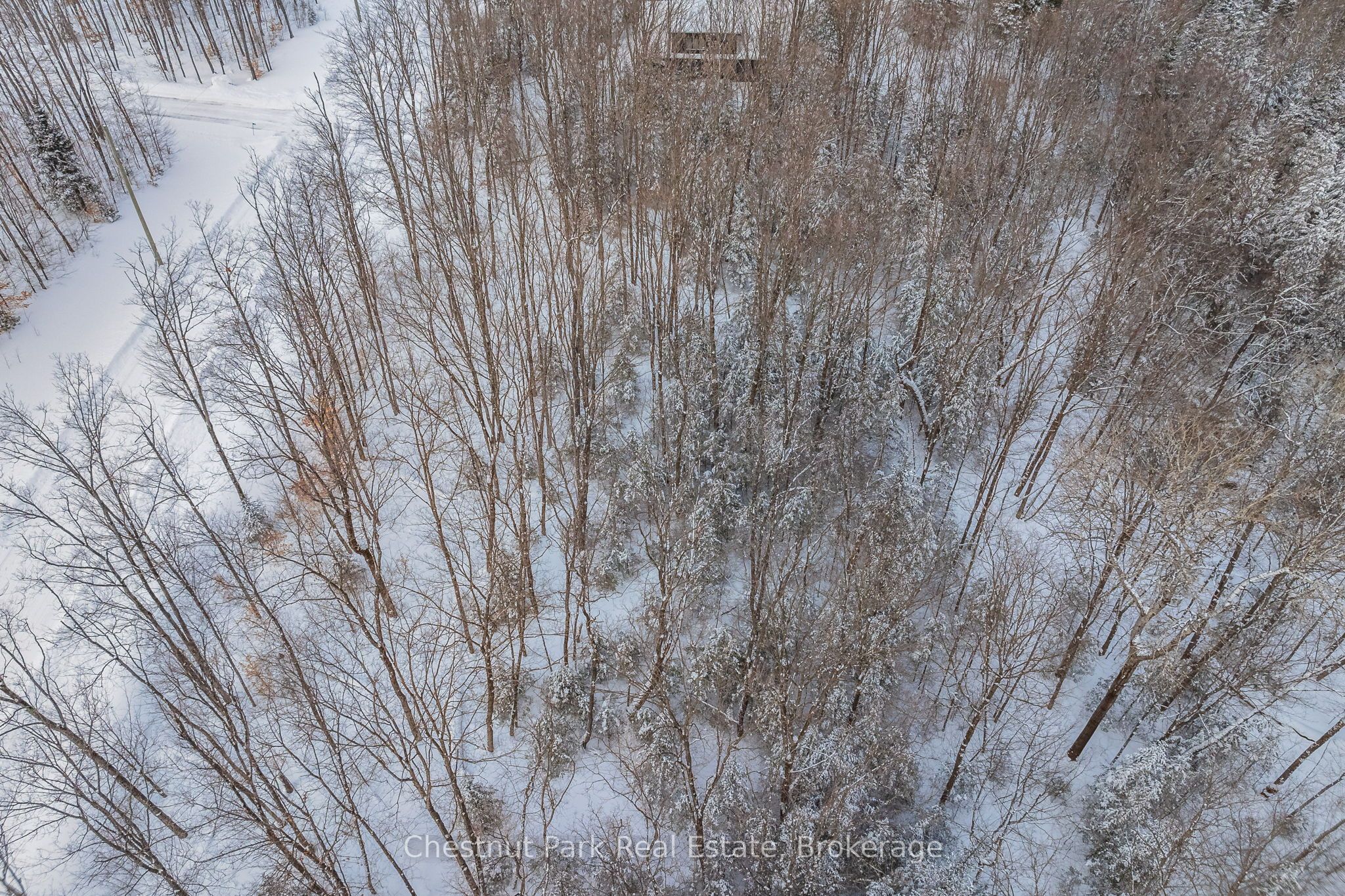 Lot 11 Millie's Way Property Photo 24