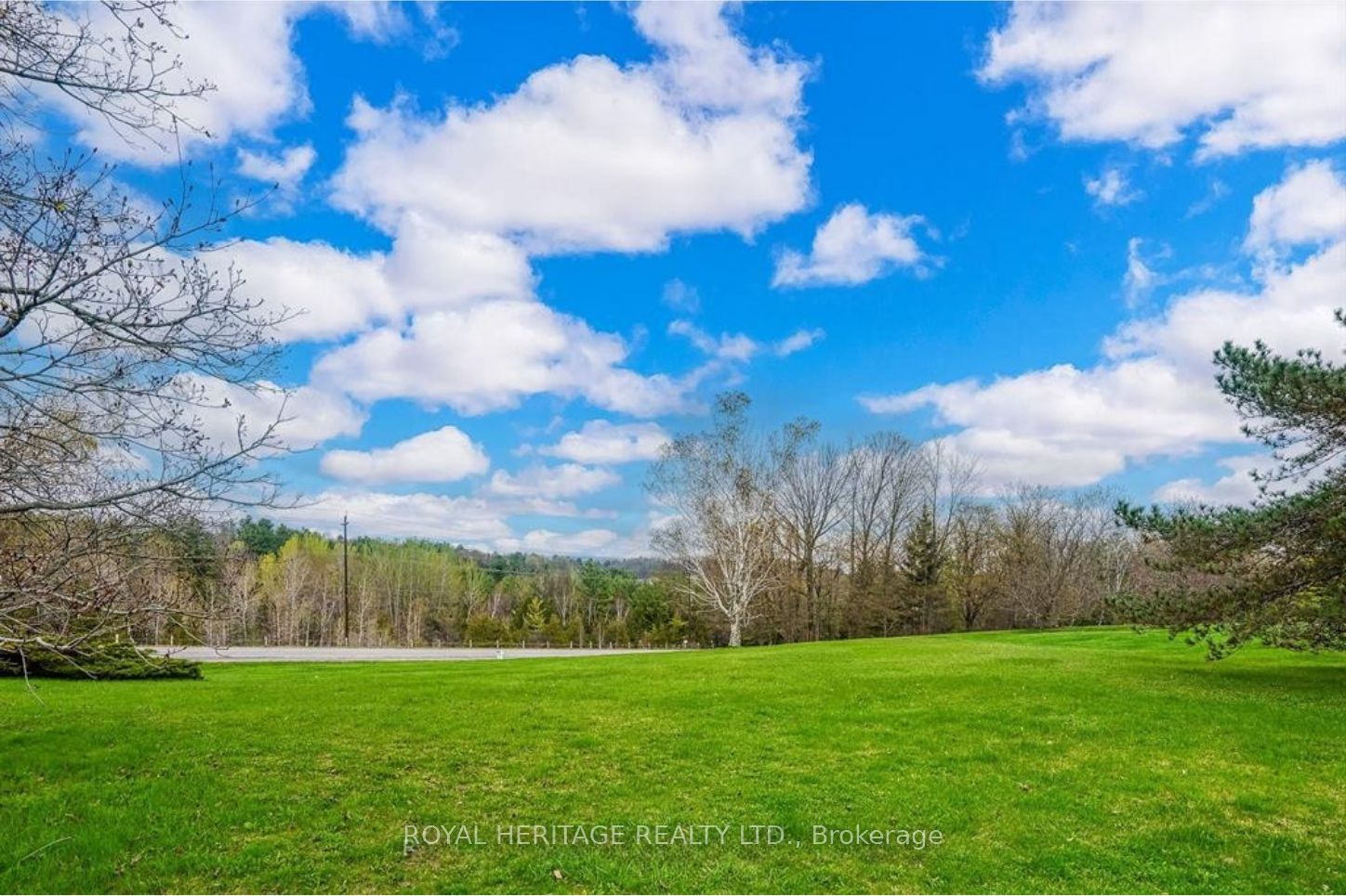 #(East Lot) - 8803 Dale Road Property Photo 1
