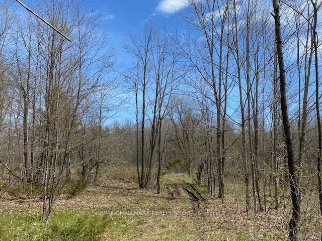 0 Moran Road Property Photo