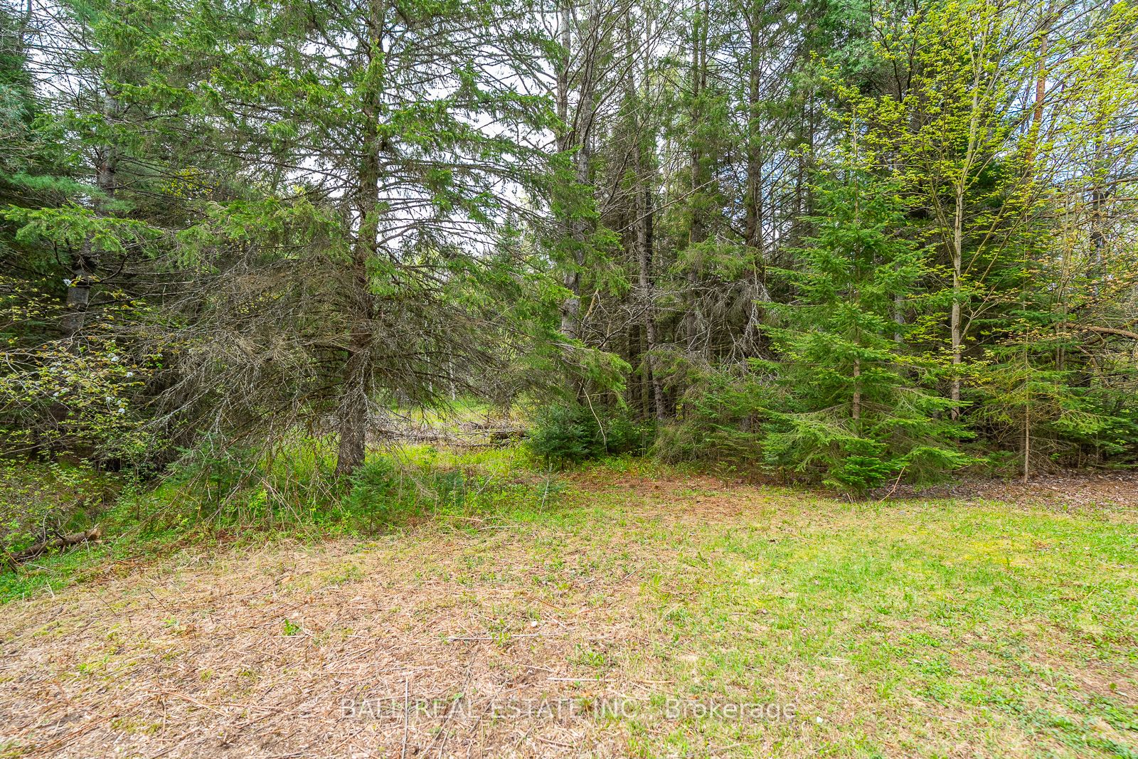 0 The Avenue Property Photo 16