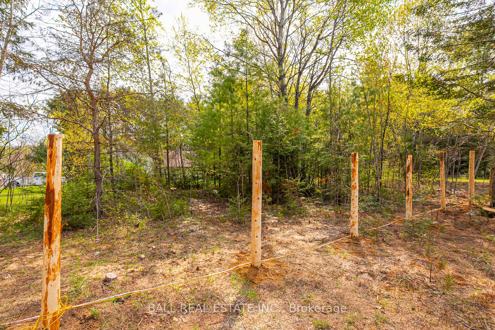 0 The Avenue Property Photo 18