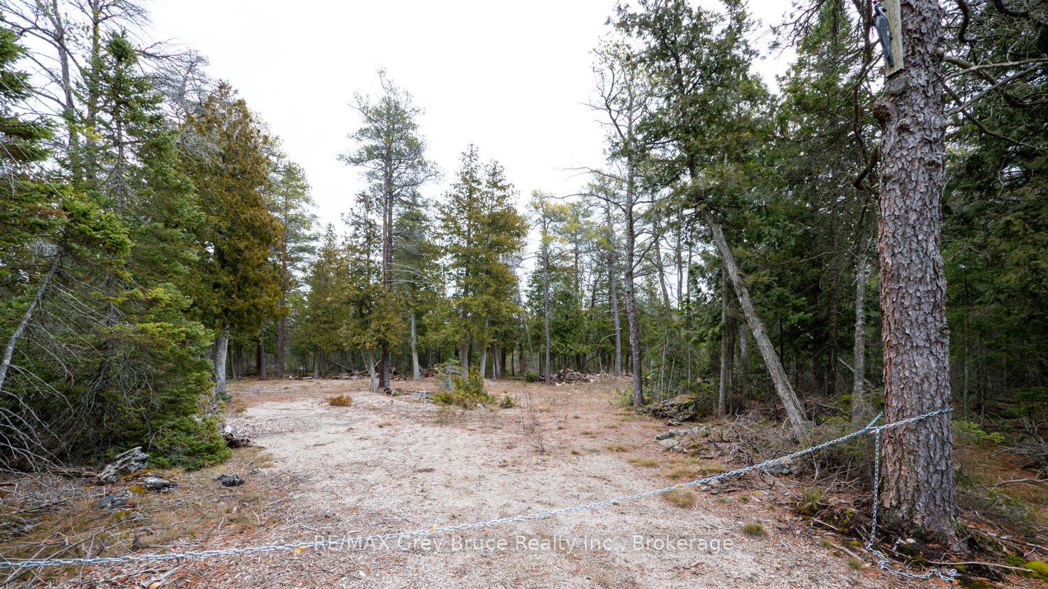 1035 Dorcas Bay Road Property Photo