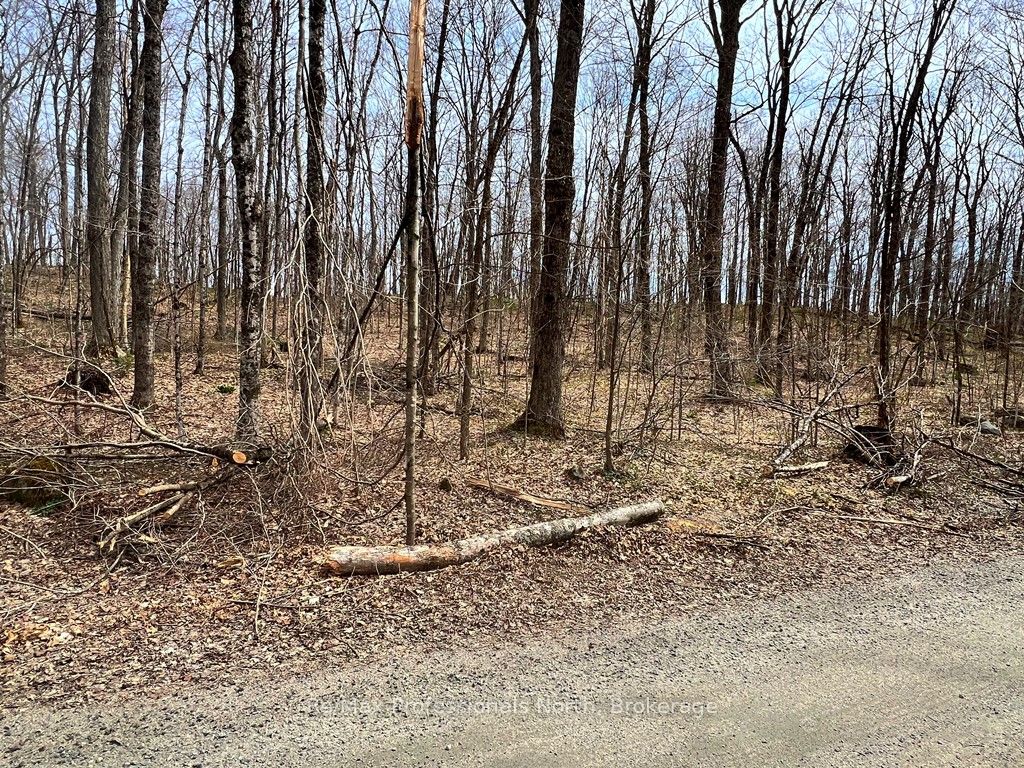Salerno Lake Road Property Photo