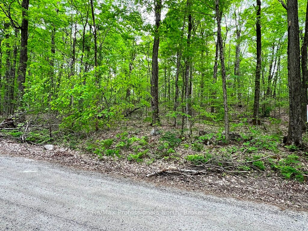Salerno Lake Road