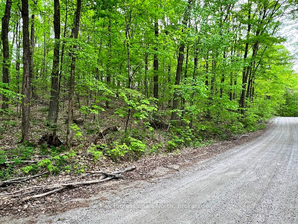 Salerno Lake Road Property Photo 2