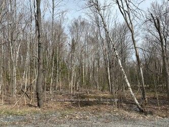 Lot Silverwood Road Property Photo 1