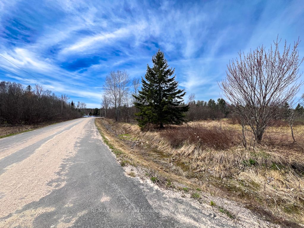 Lot 15 Patrick Street Property Photo 16