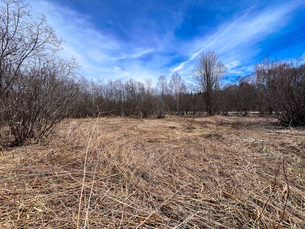 Lot 16 Patrick Street Property Photo 13