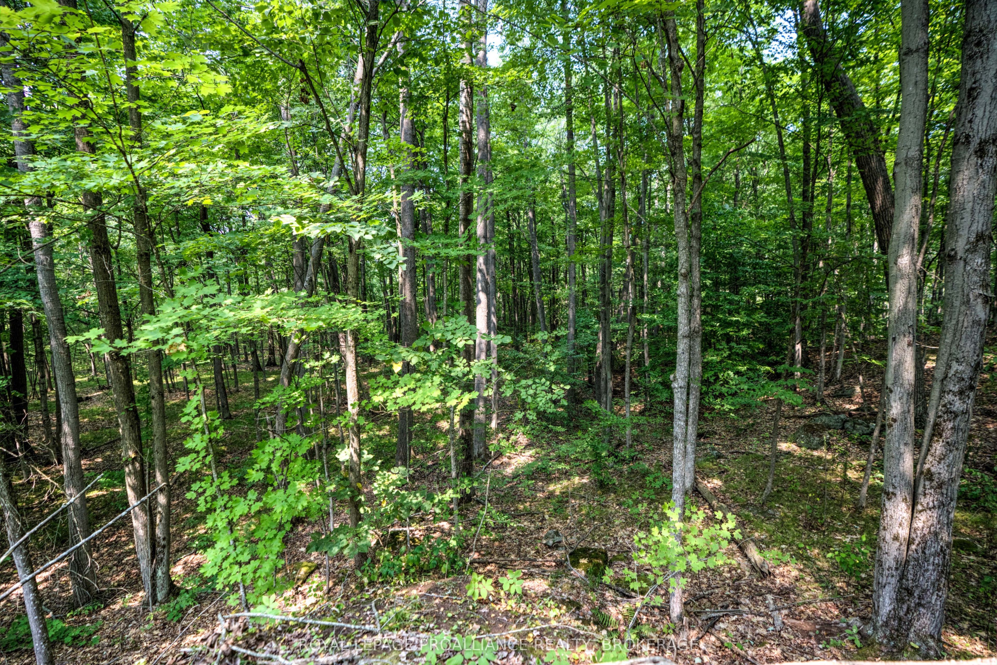 568 Lyndhurst Road Property Photo 11