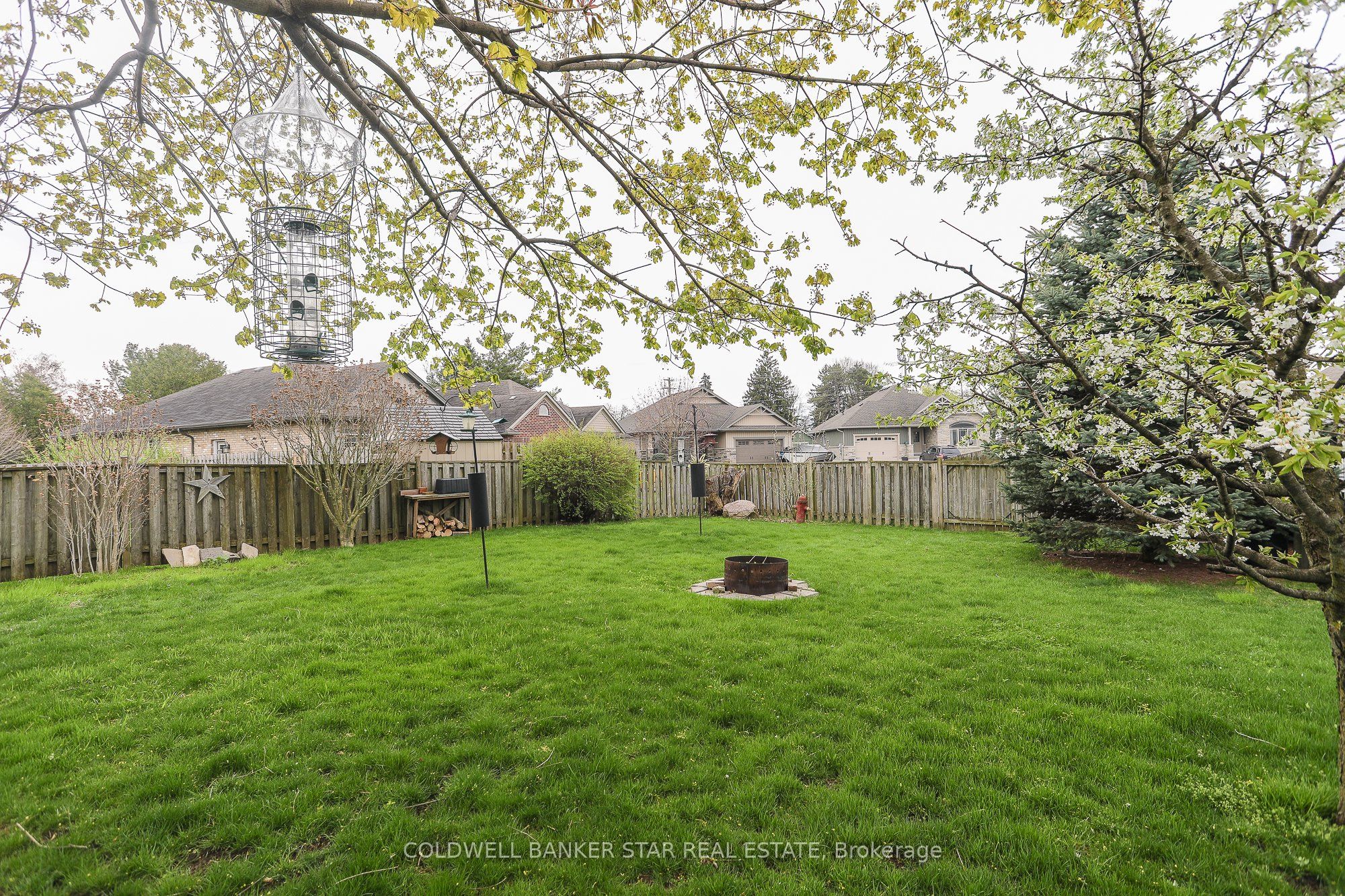 54 Treadwell Street Property Photo 31