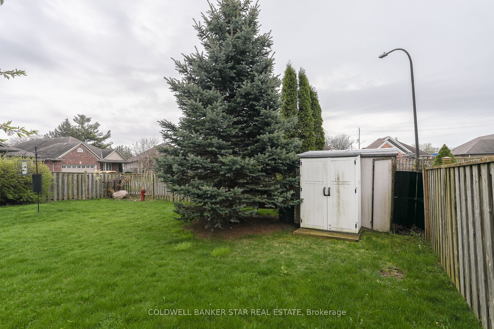 54 Treadwell Street Property Photo 32