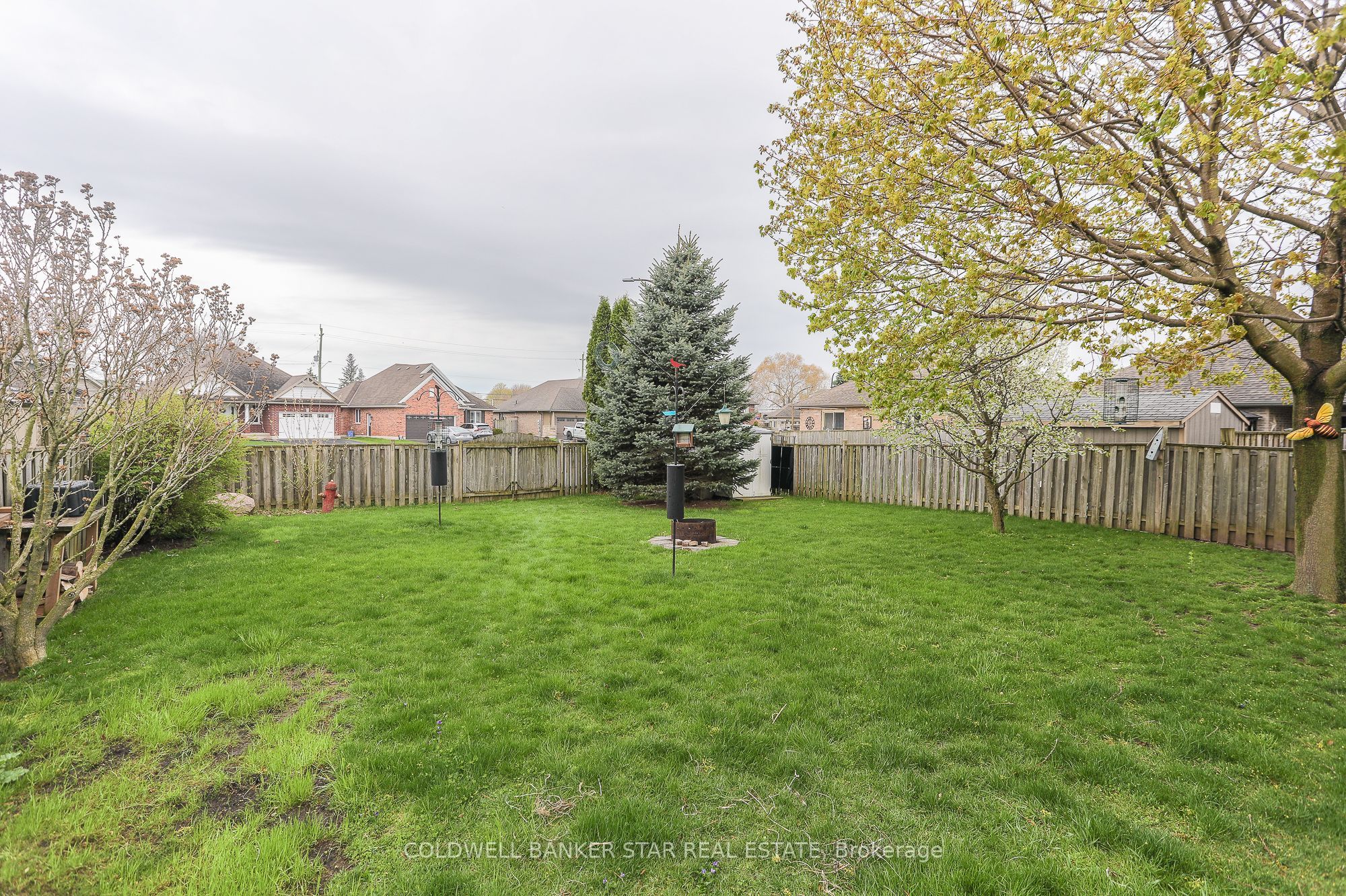 54 Treadwell Street Property Photo 33