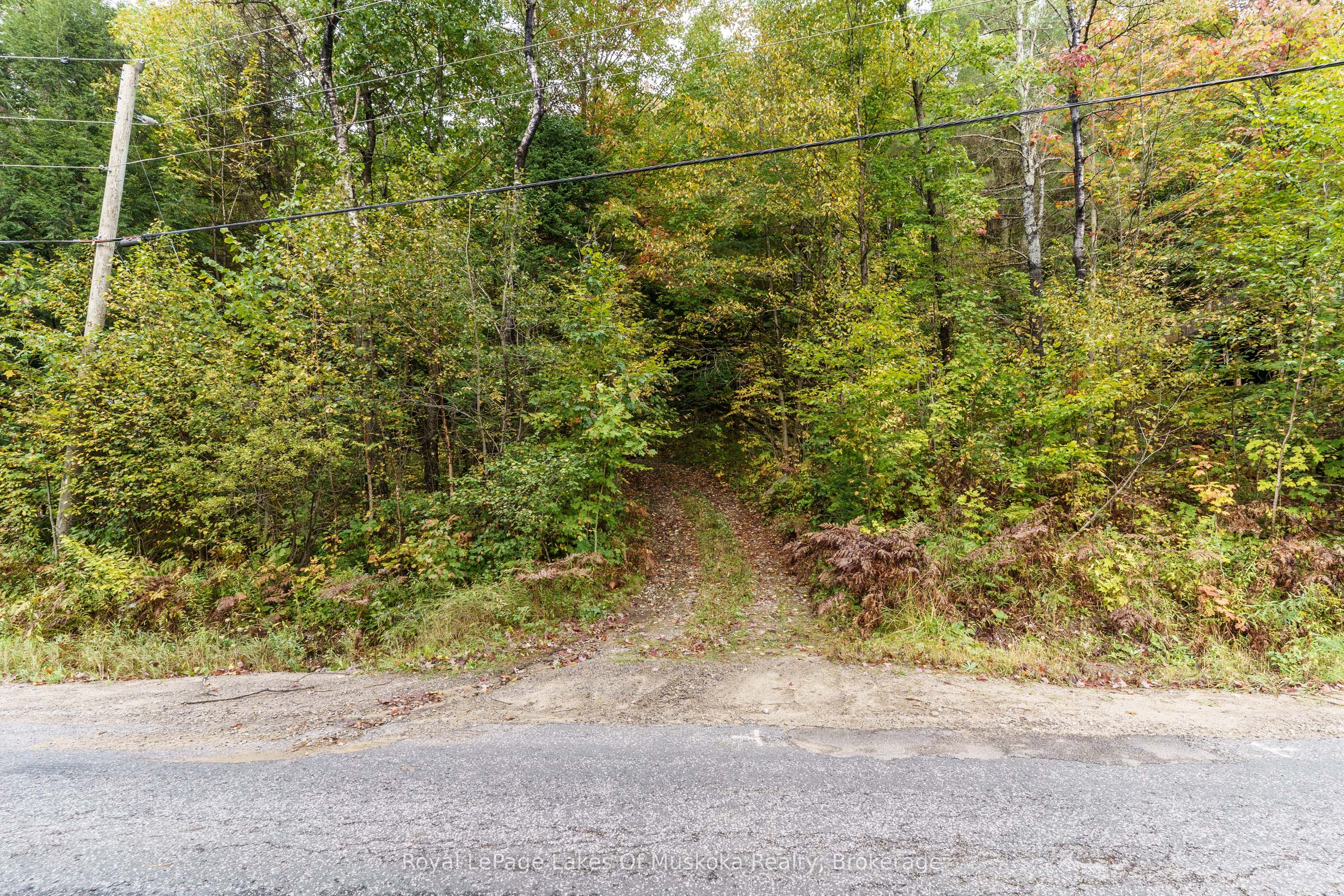 1059 Livingstone Lake Road Property Photo 1