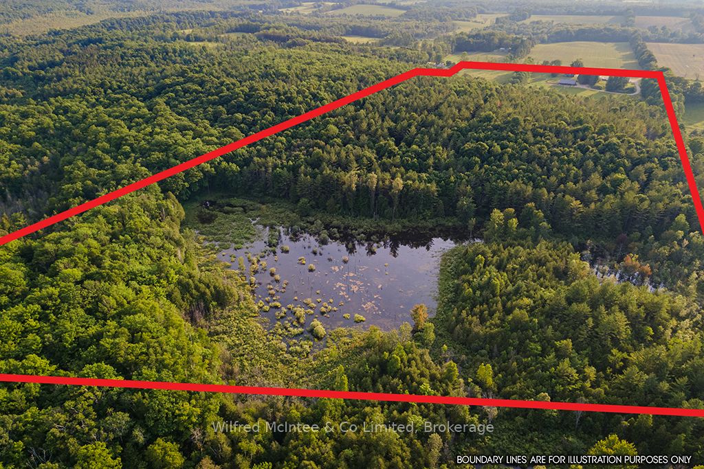 397461 Concession 10 N/a Property Photo 18