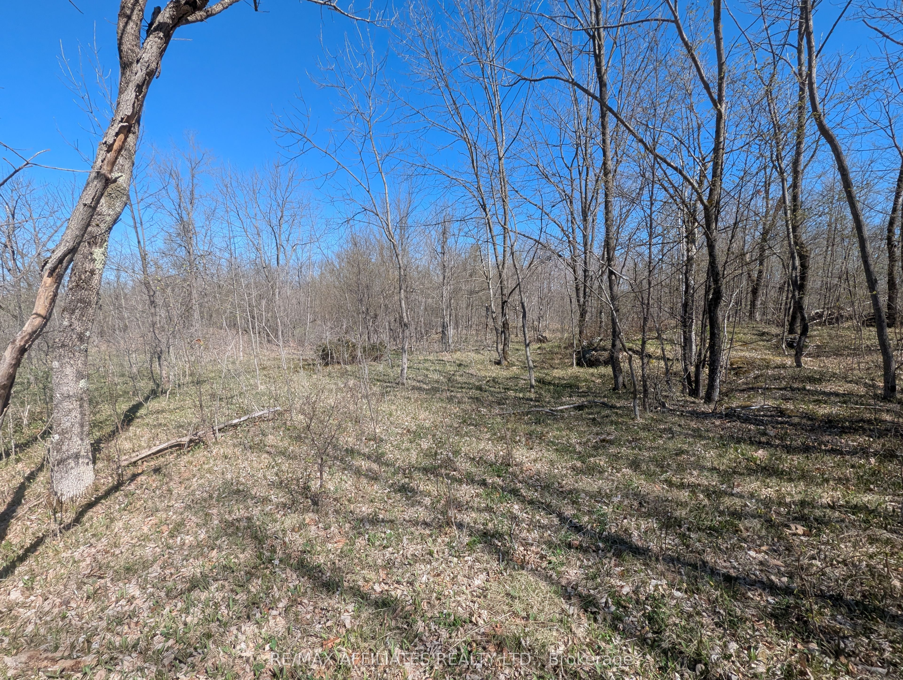 0 Little Crosby Lake Road Property Photo 1