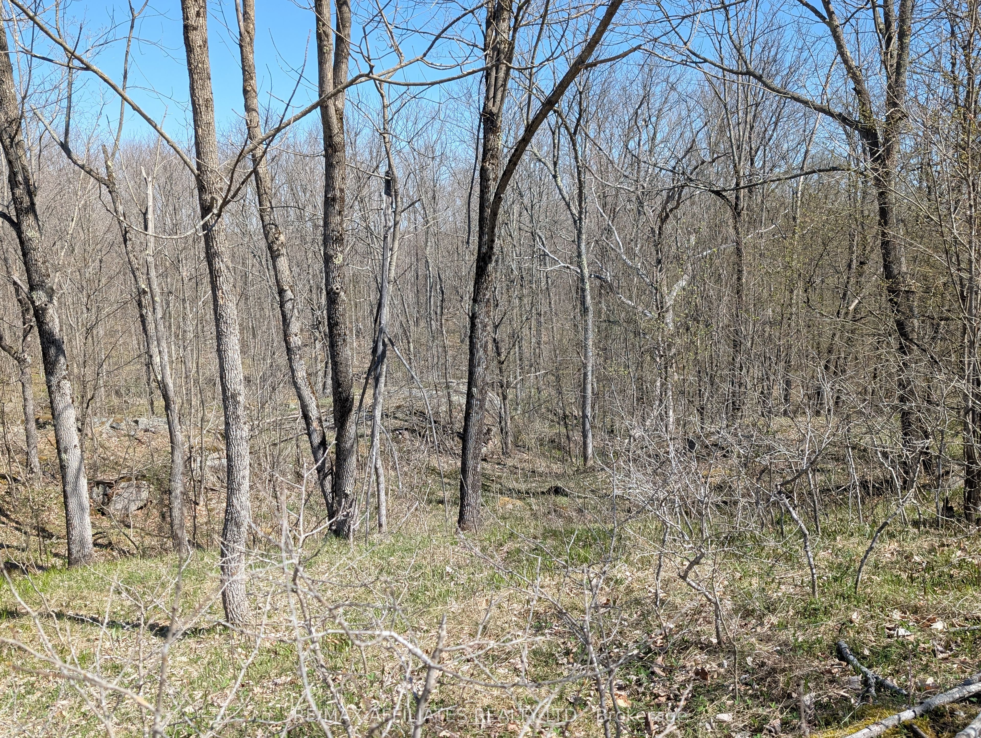 0 Little Crosby Lake Road Property Photo 3