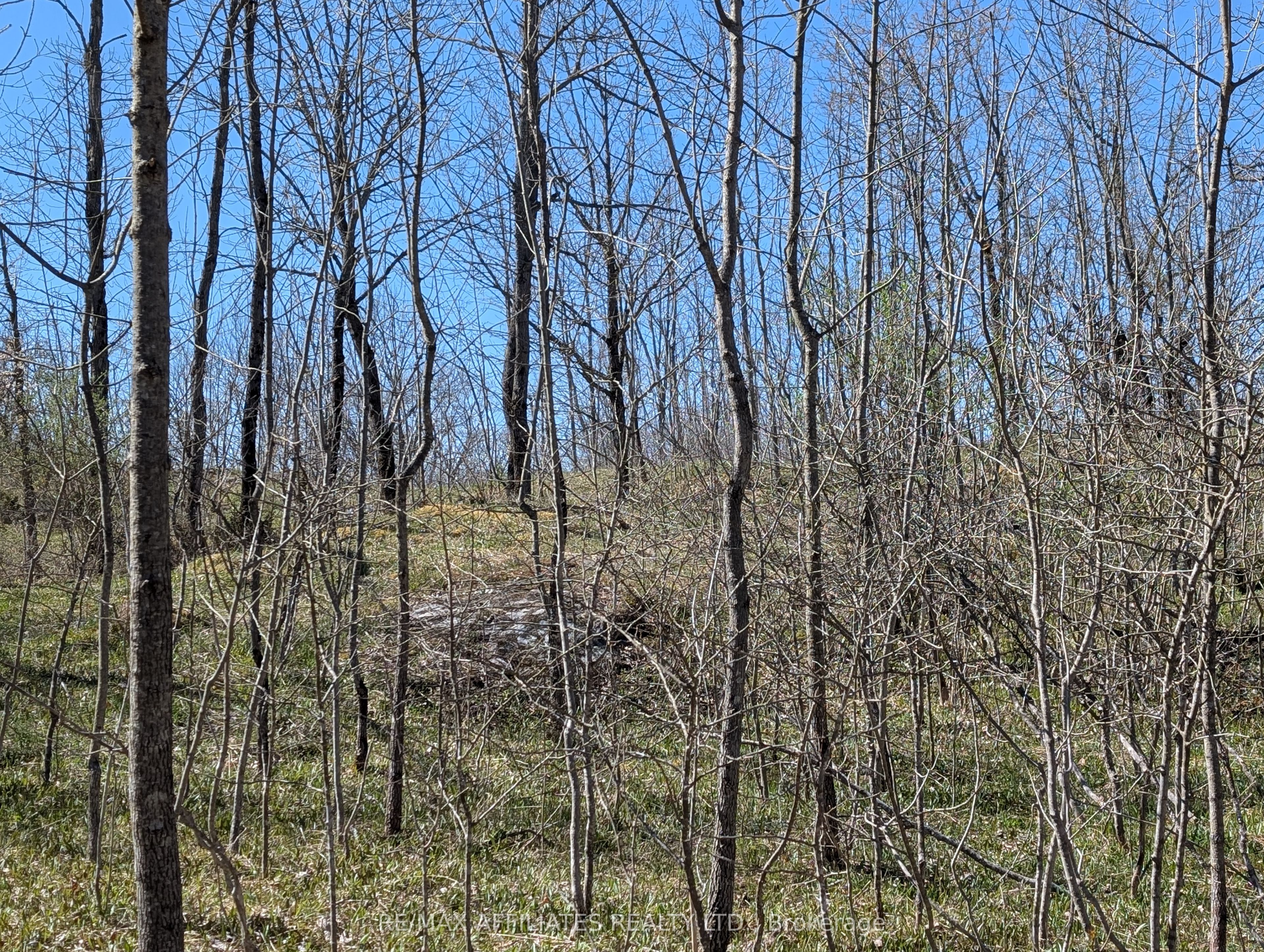 0 Little Crosby Lake Road Property Photo 4
