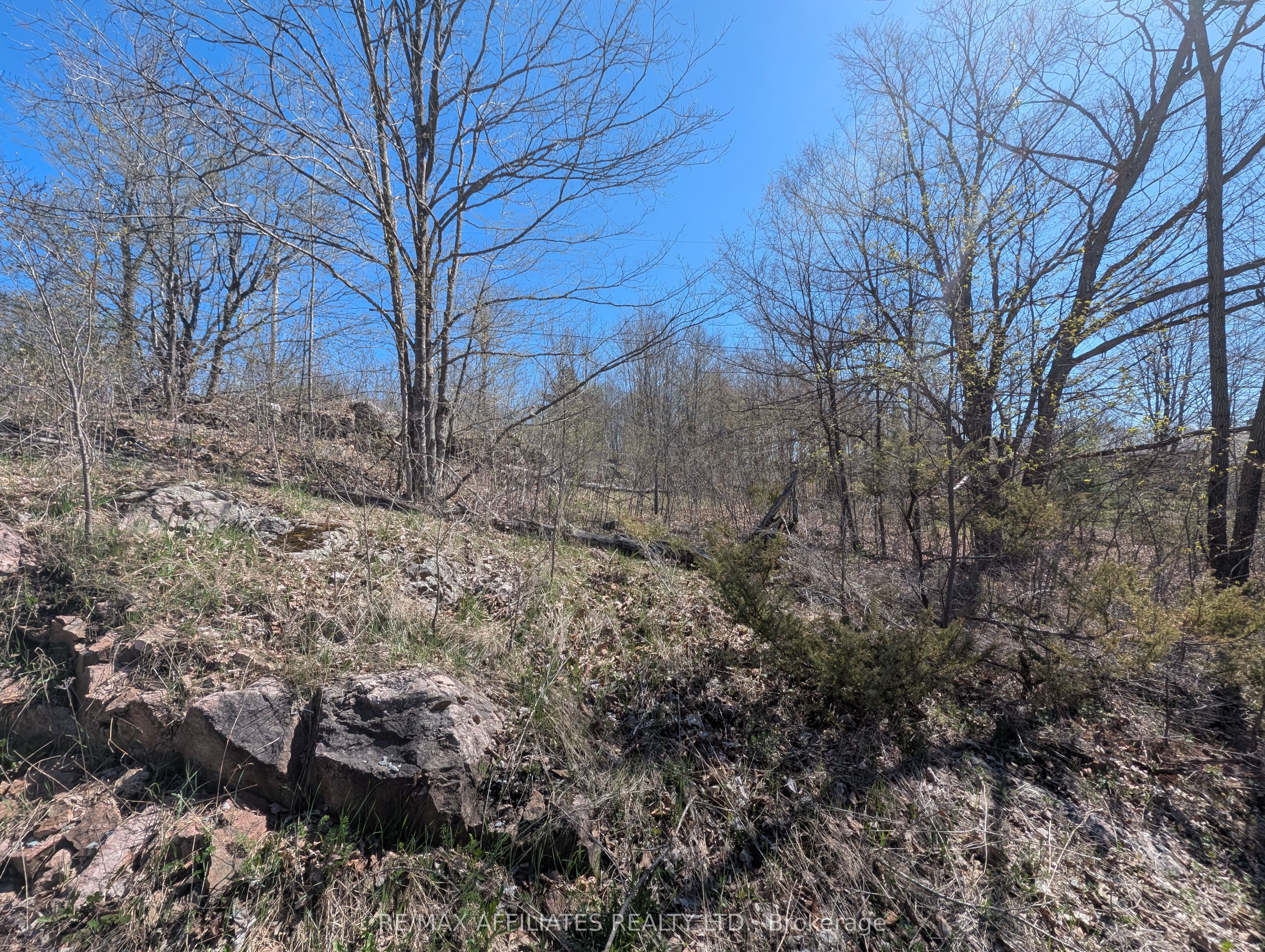 0 Little Crosby Lake Road Property Photo 6