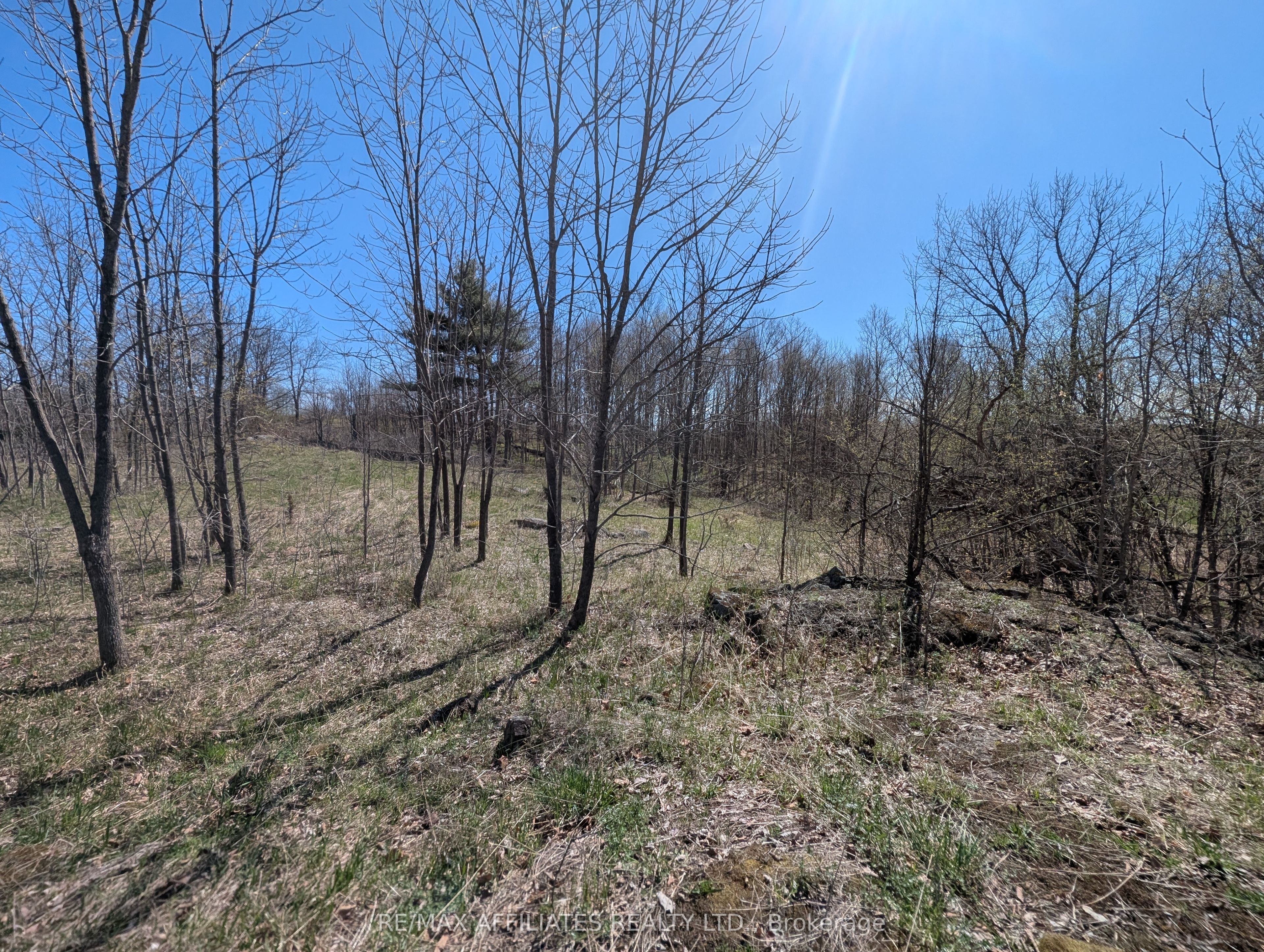 0 Little Crosby Lake Road Property Photo 7