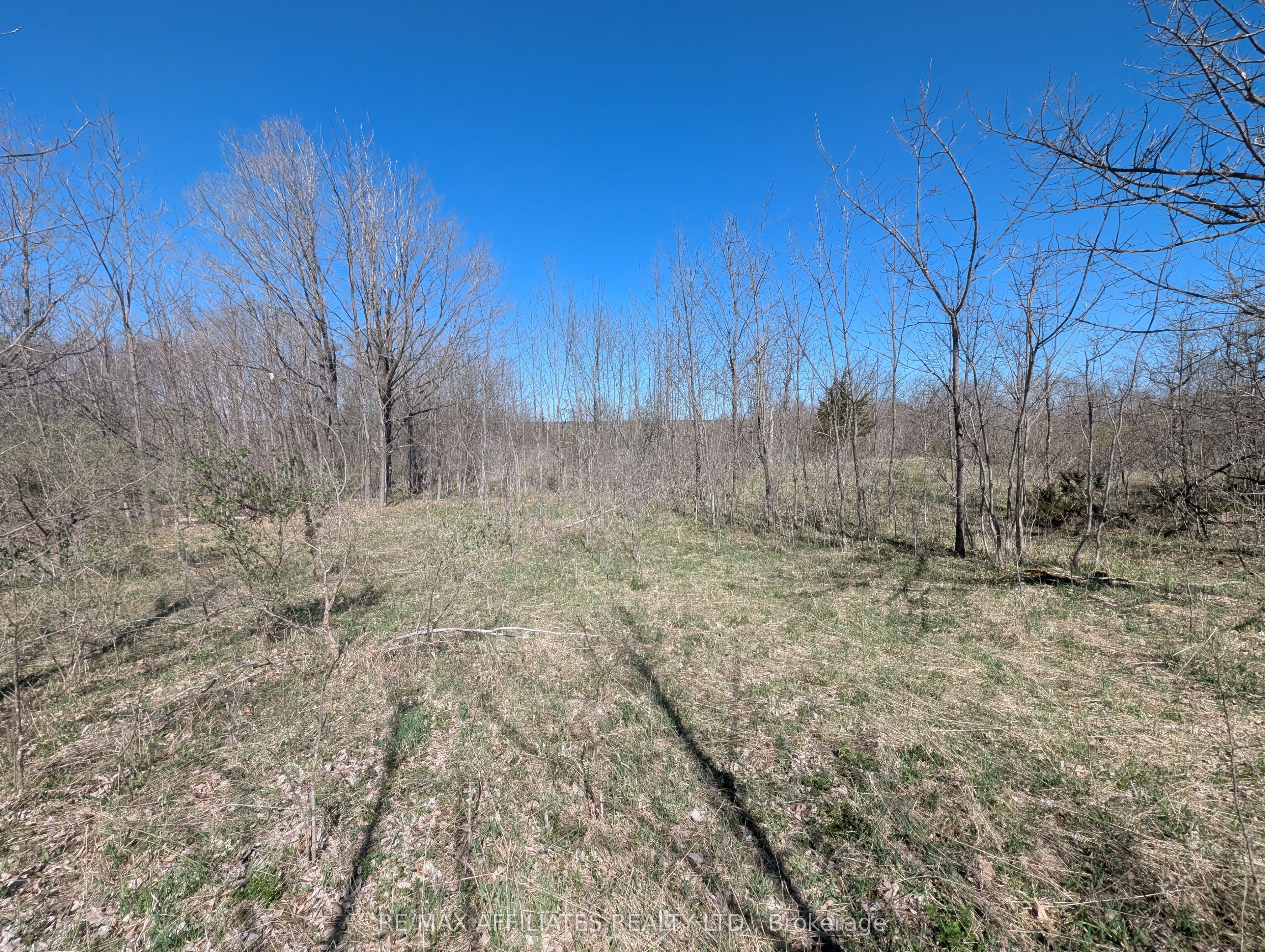 0 Little Crosby Lake Road Property Photo 8