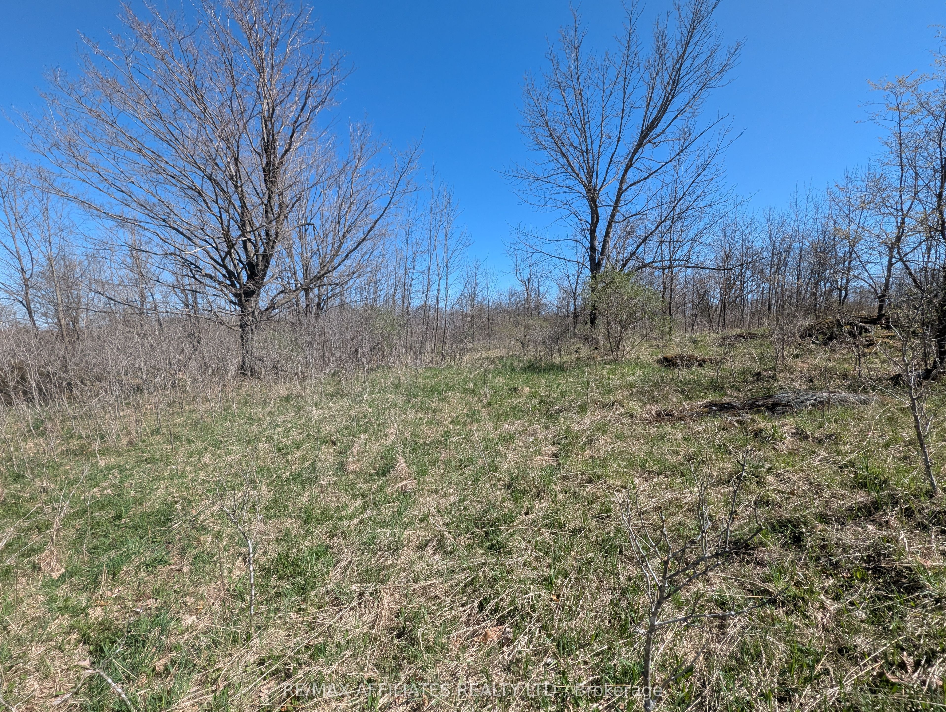 0 Little Crosby Lake Road Property Photo 9