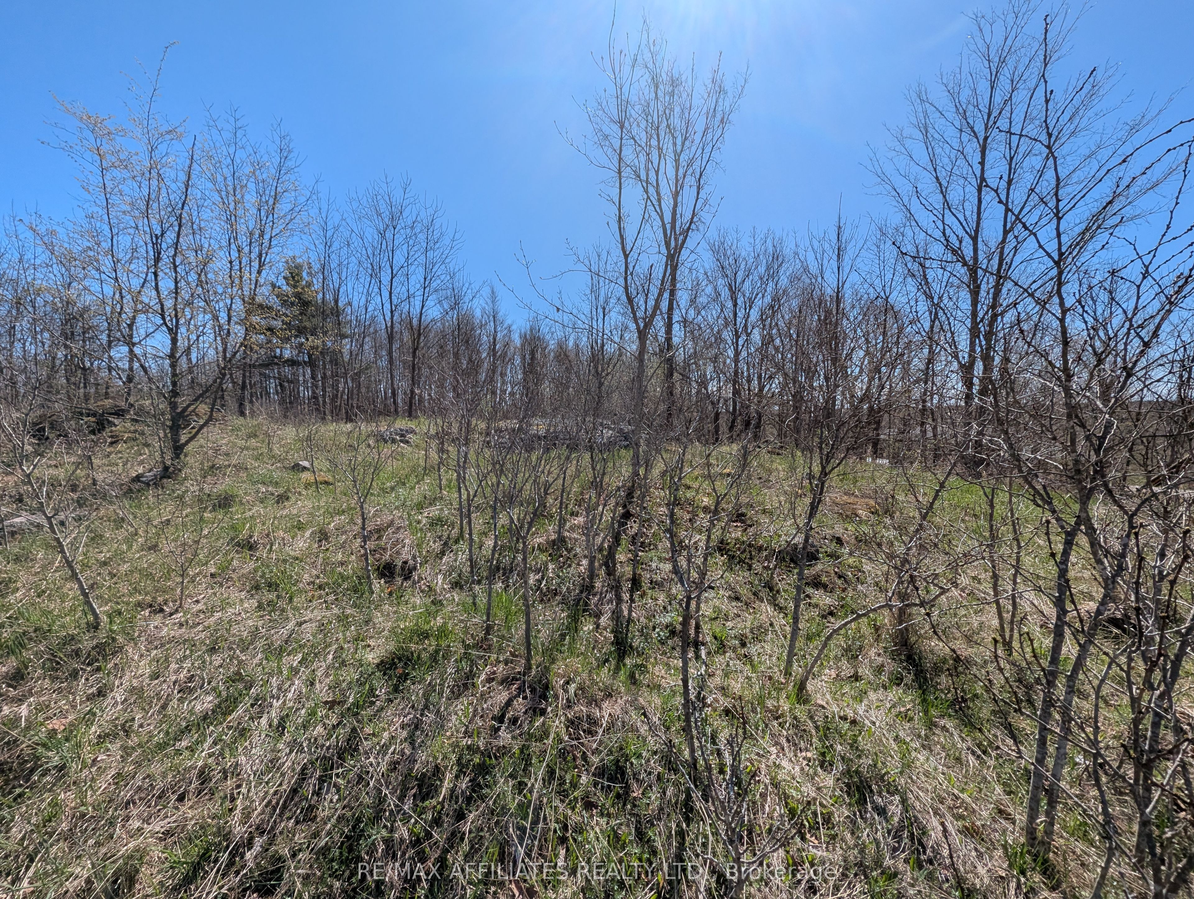 0 Little Crosby Lake Road Property Photo 10