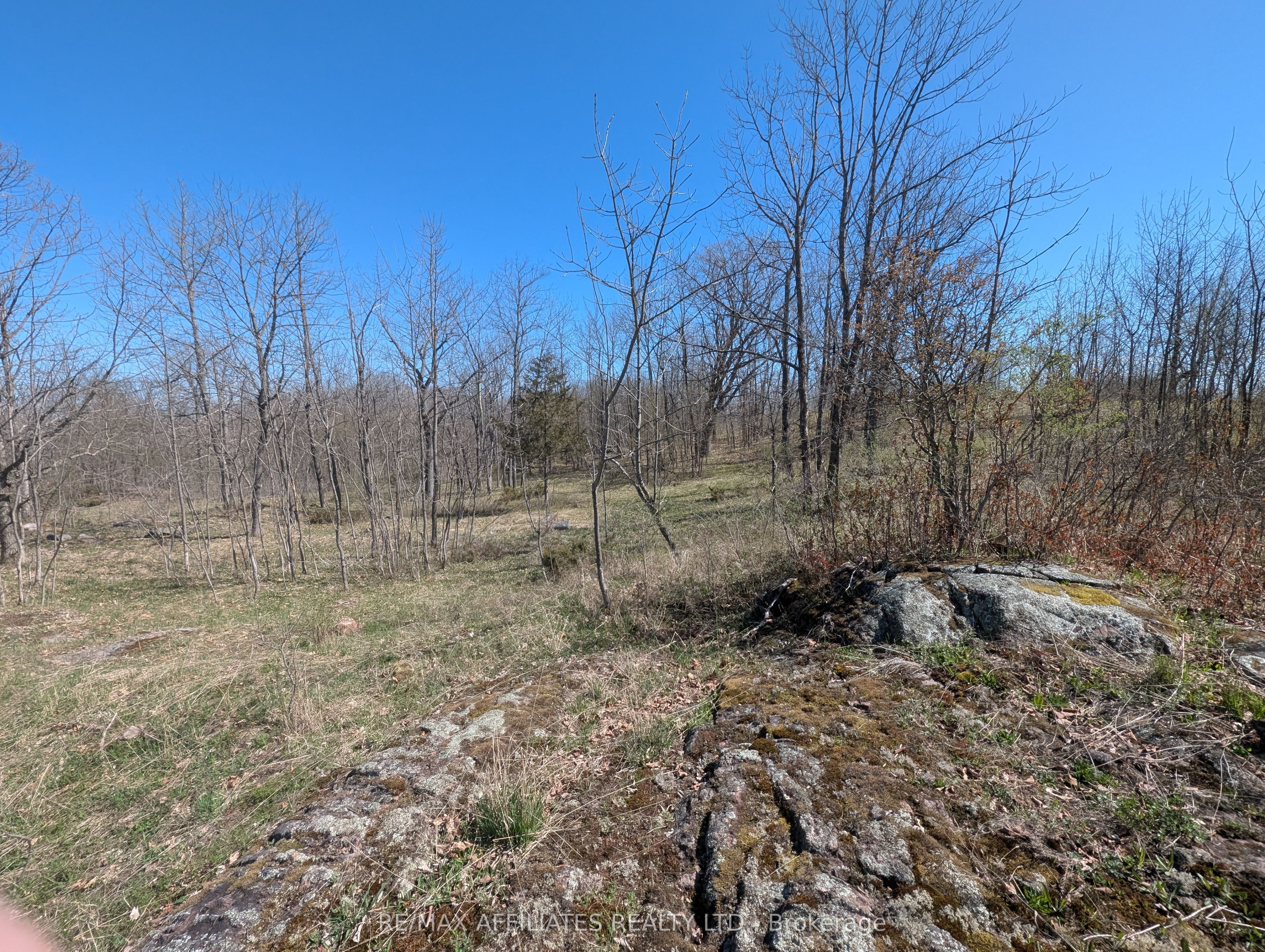 0 Little Crosby Lake Road Property Photo 11