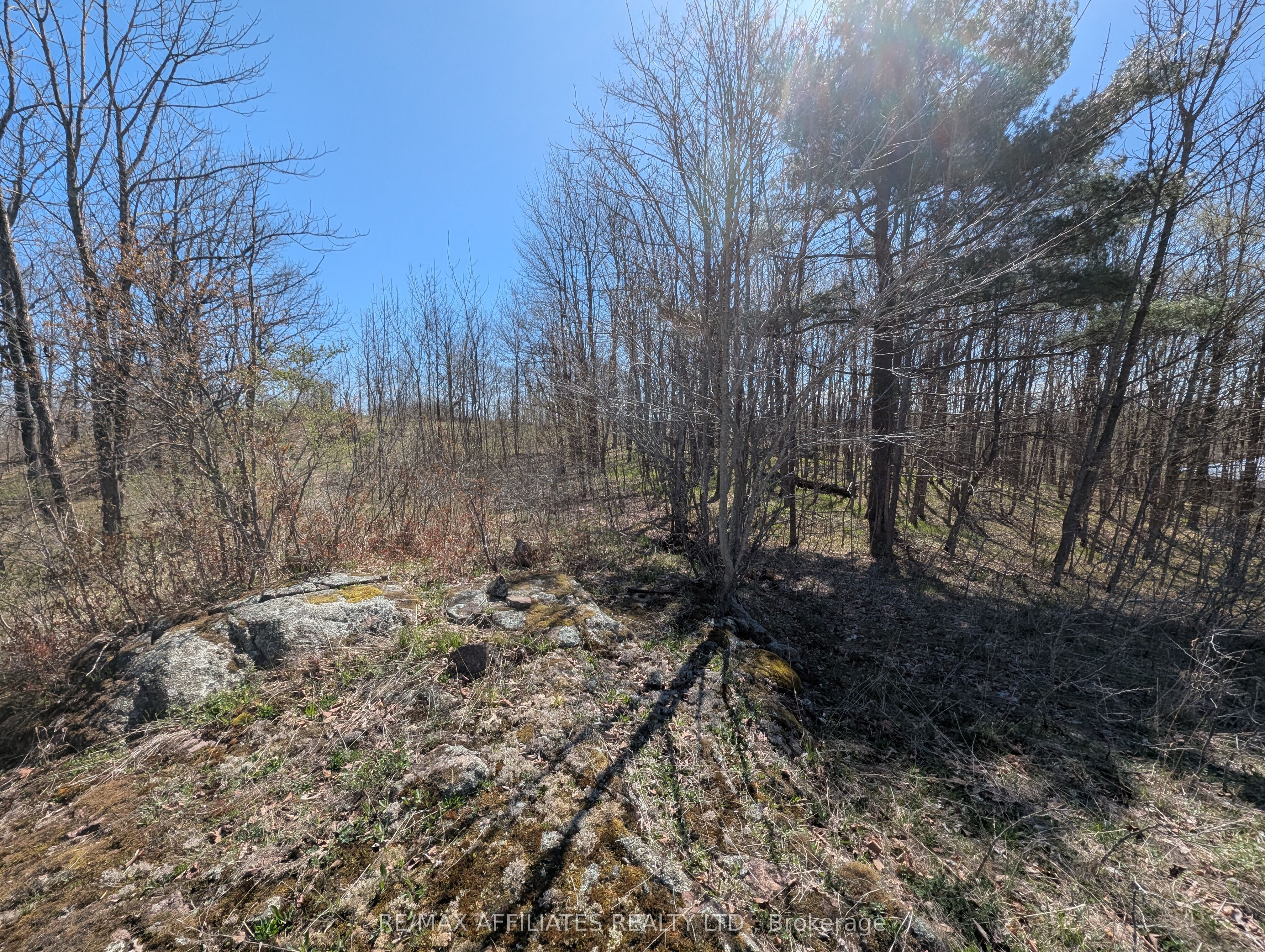 0 Little Crosby Lake Road Property Photo 12