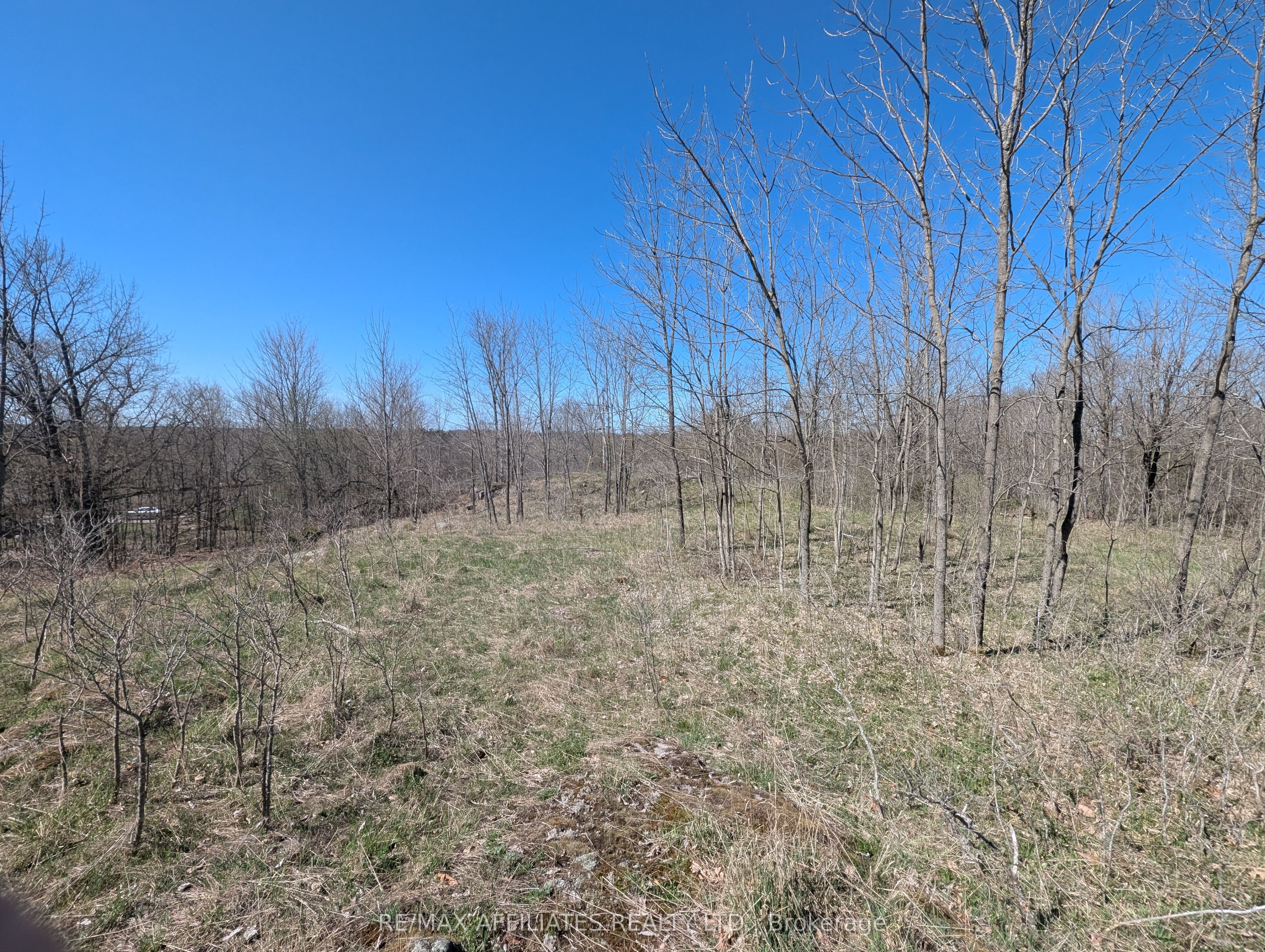 0 Little Crosby Lake Road Property Photo 13