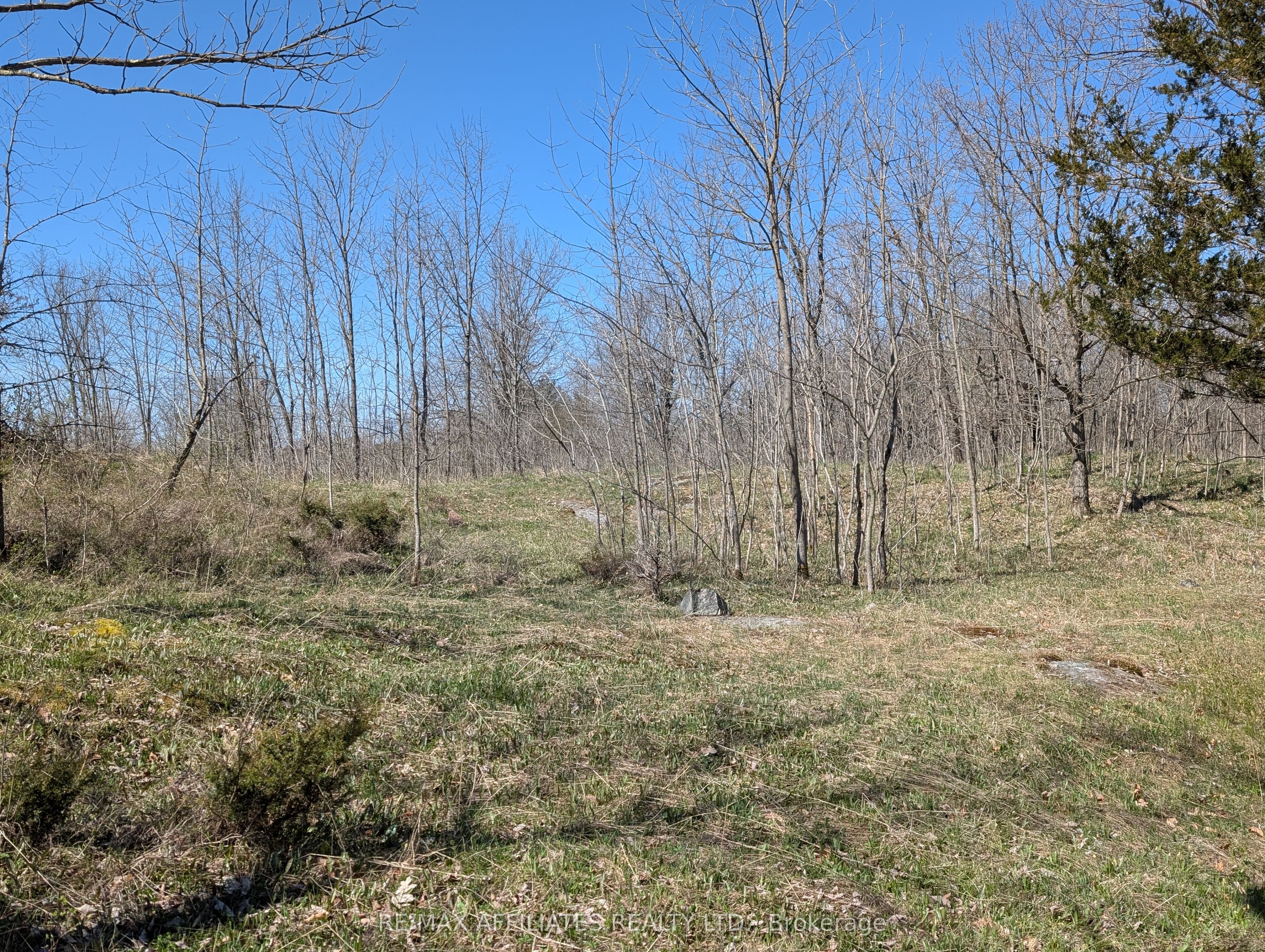 0 Little Crosby Lake Road Property Photo 14