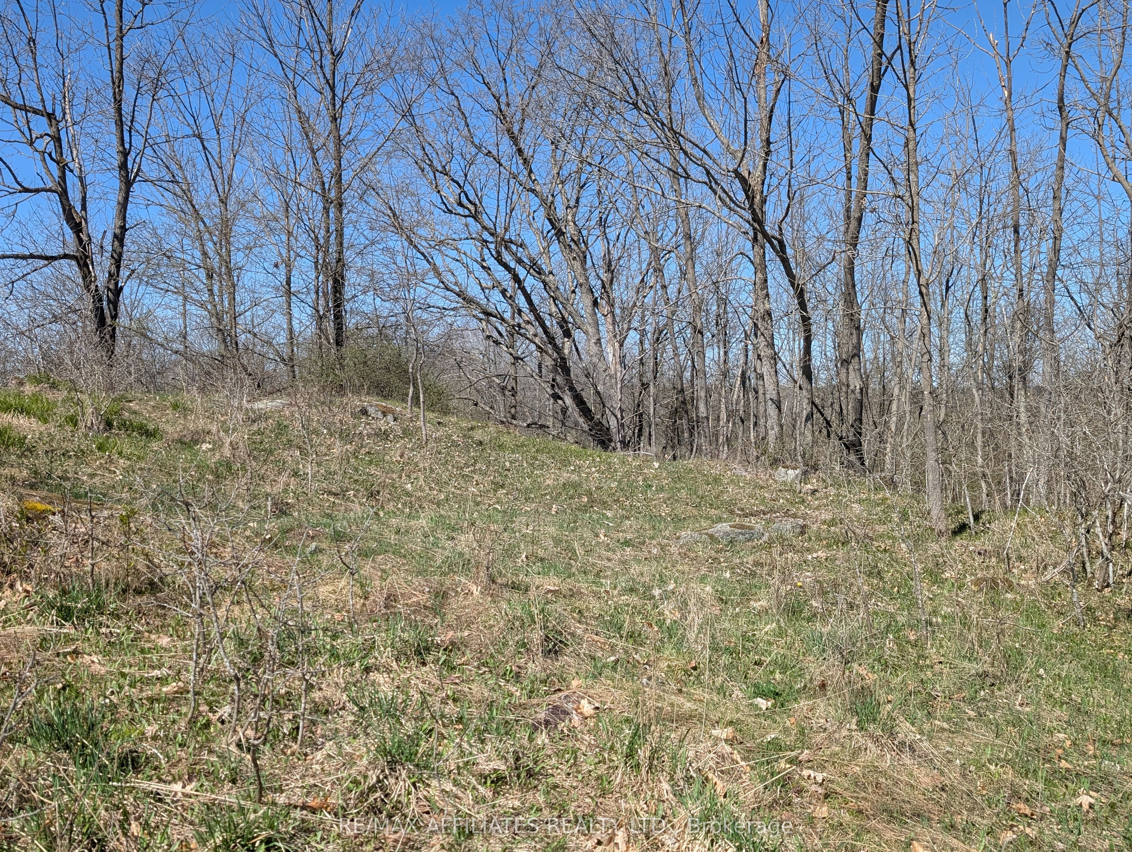 0 Little Crosby Lake Road Property Photo 15