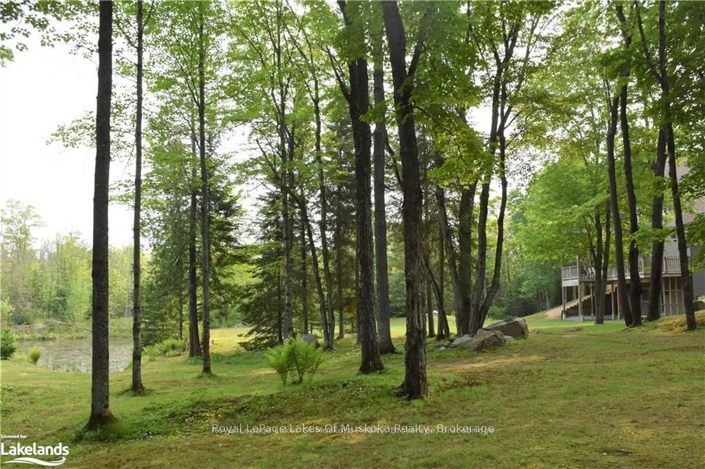 2411 Hwy. 118 E. Highway Property Photo 32